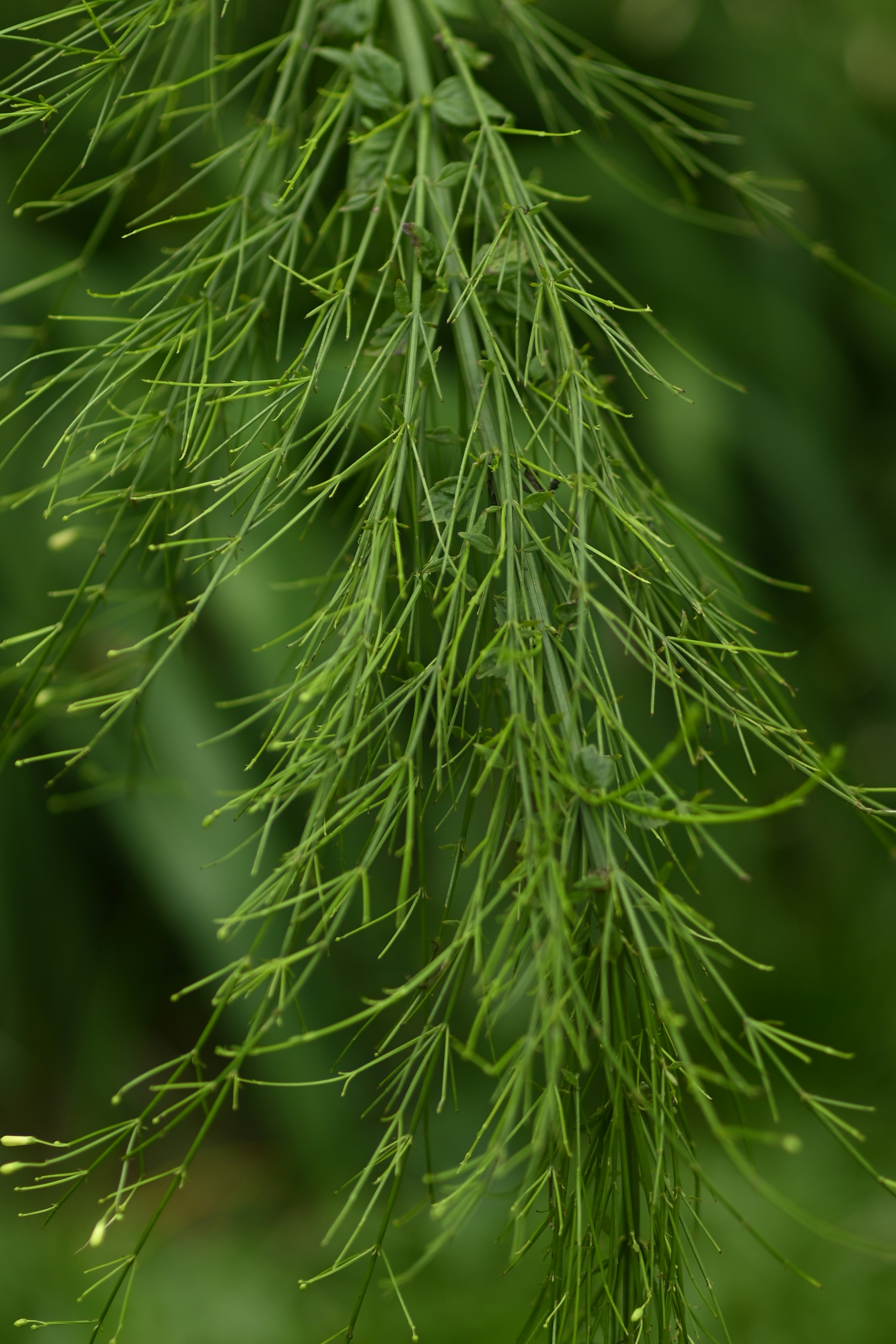 Photo by rrajputphotography