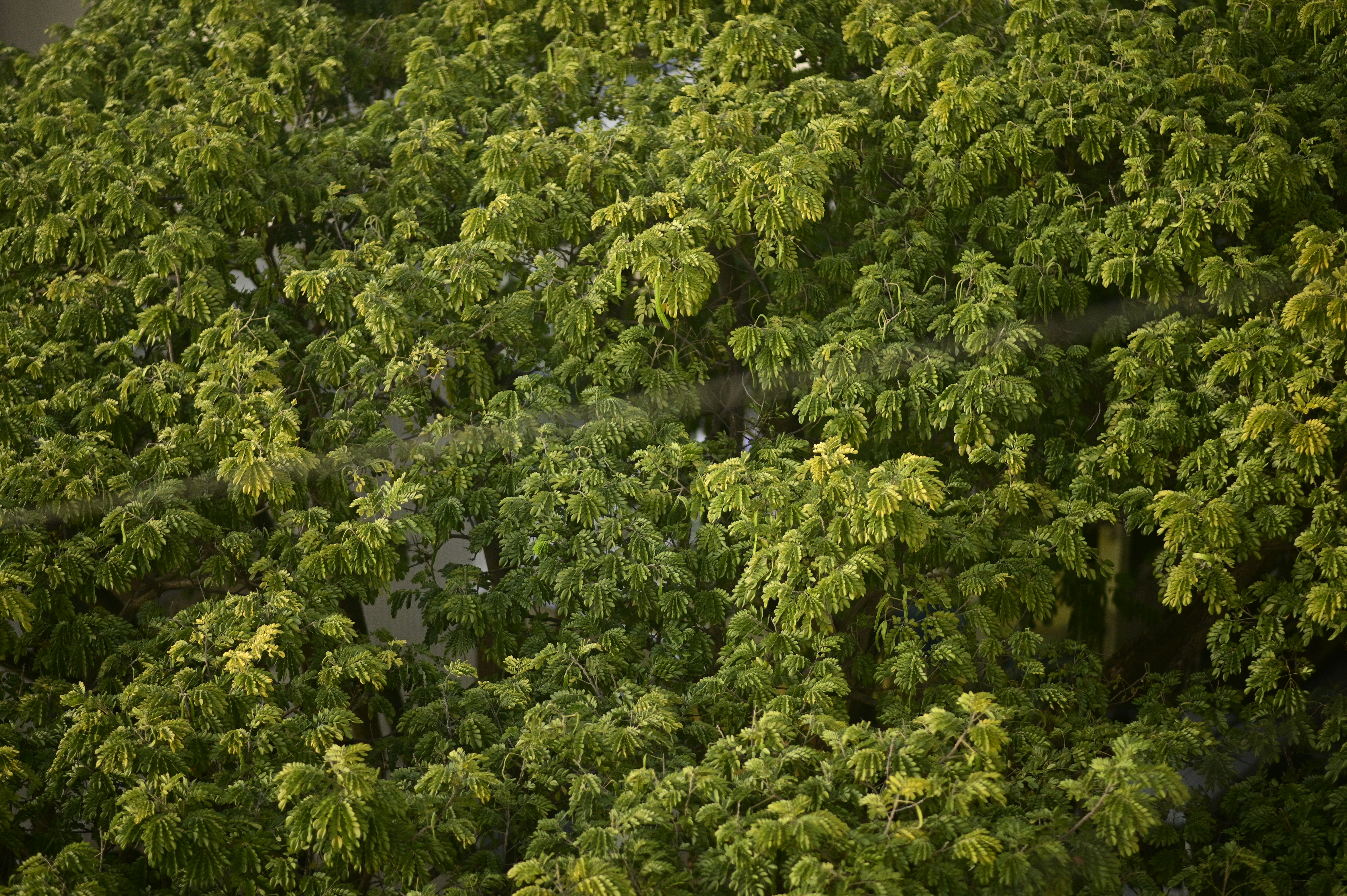 Photo by rrajputphotography