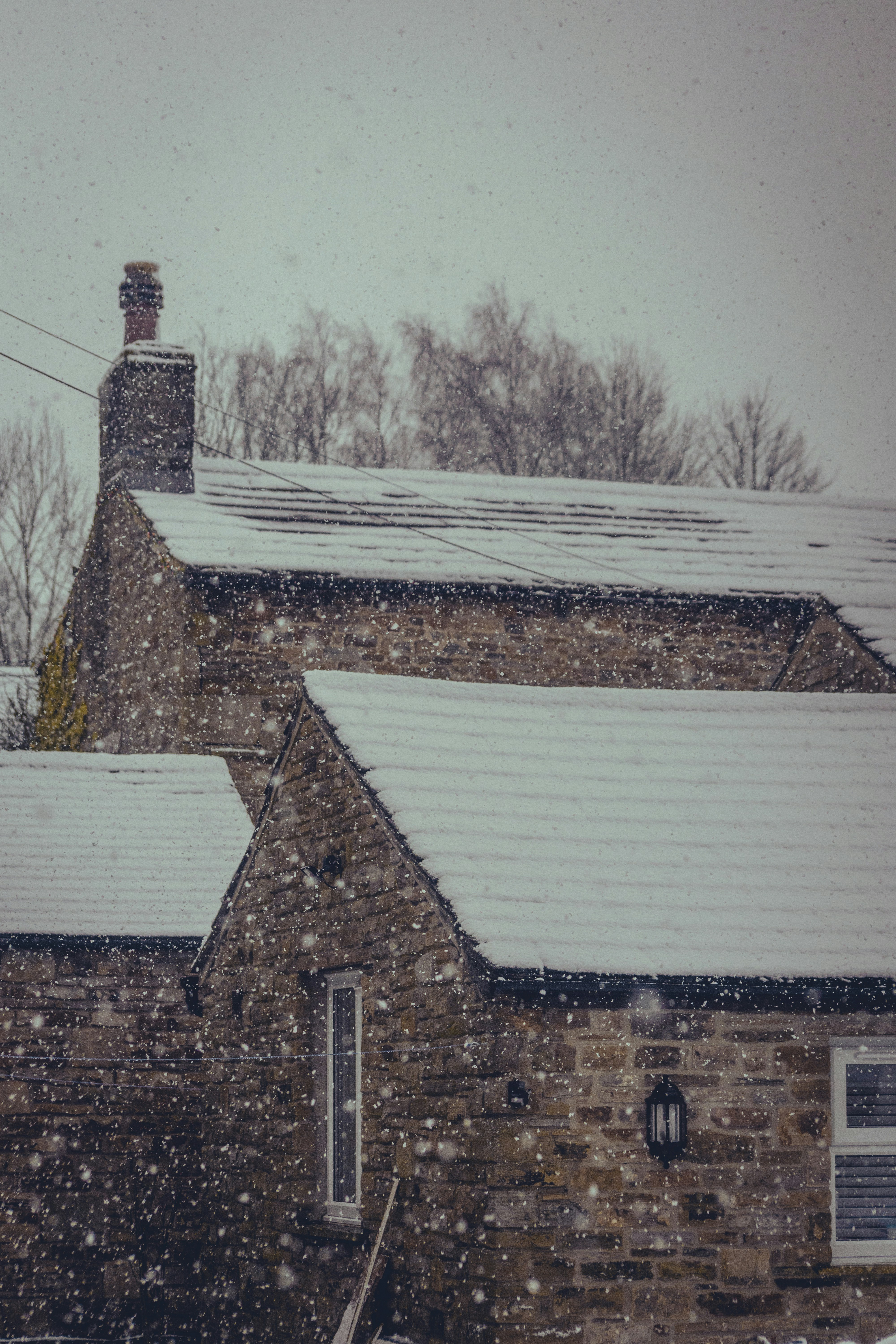 Photo by bethanybeckphotography