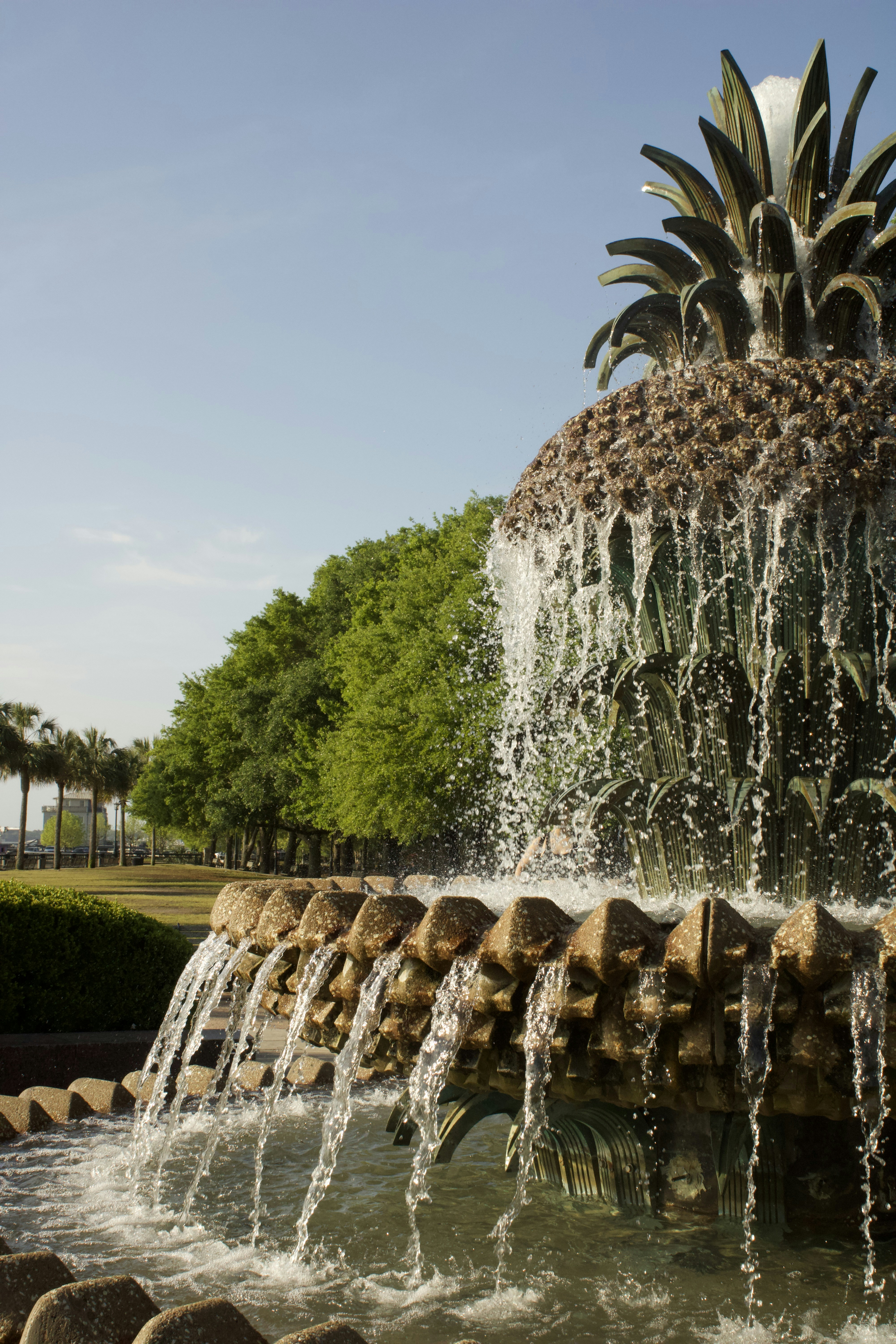 Imágenes de Charleston, Carolina Del Sur | Descarga imágenes gratuitas en  Unsplash, image size:3000x4500