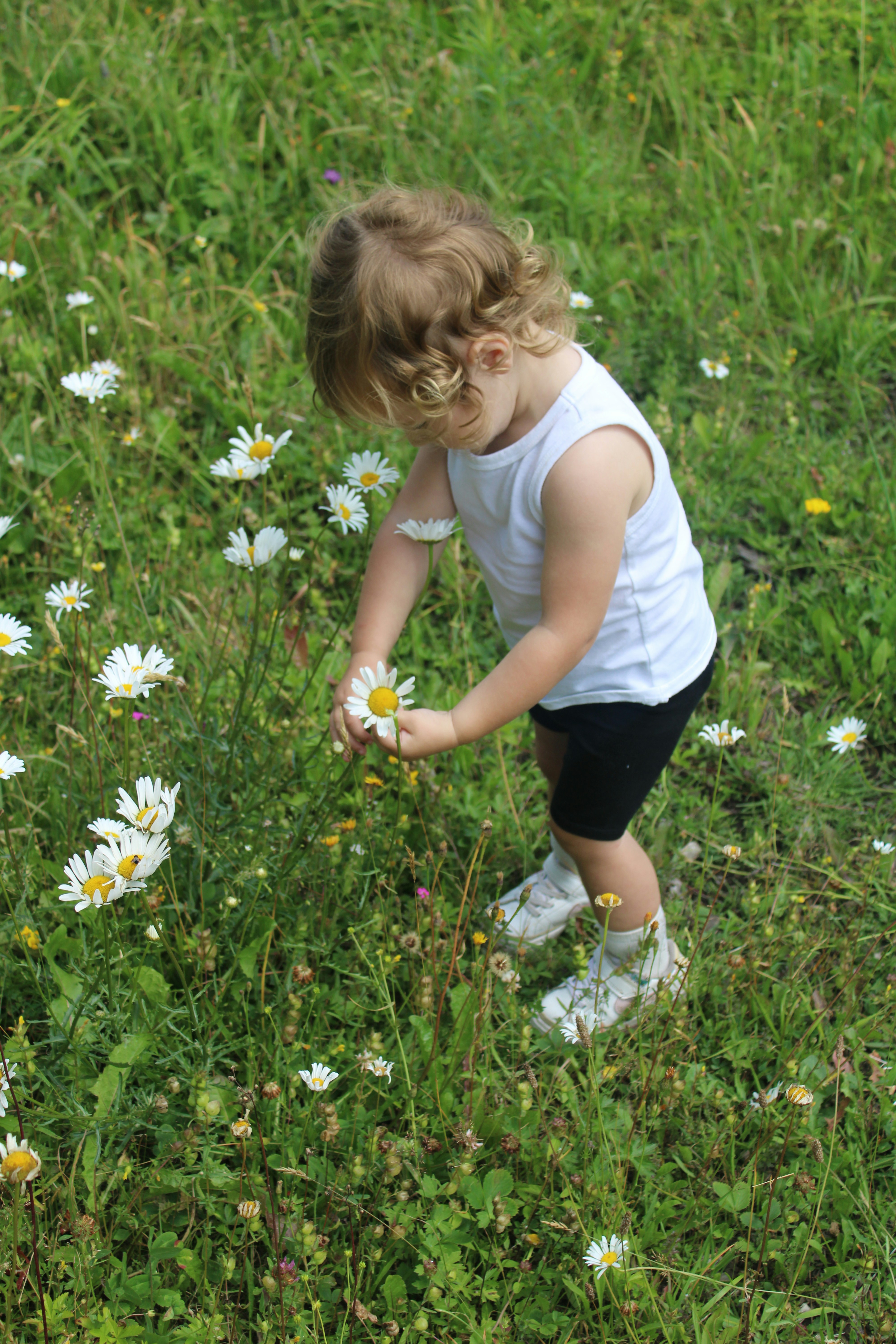 Photo by cberlinguet