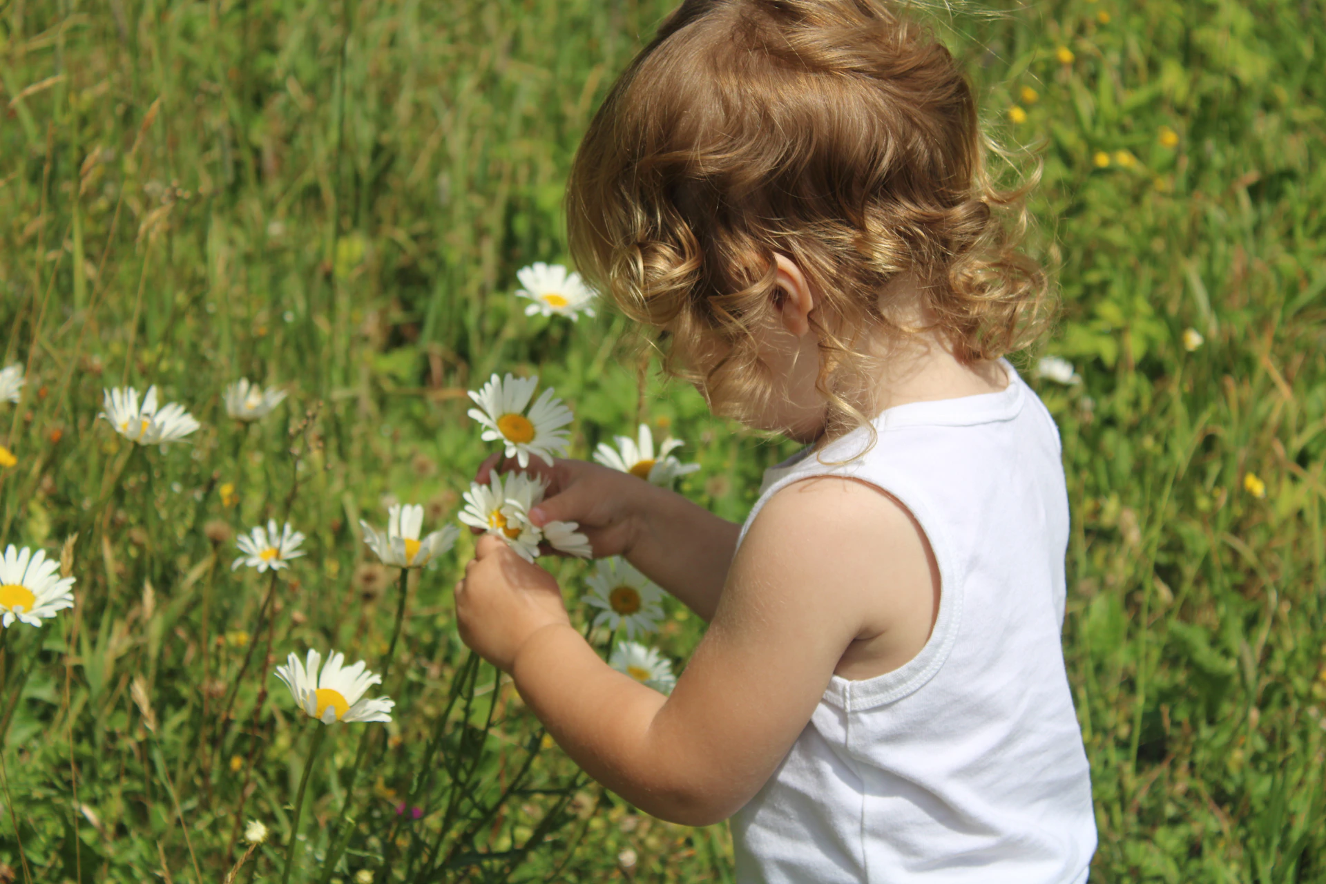 A little girl standing in a field of daisies