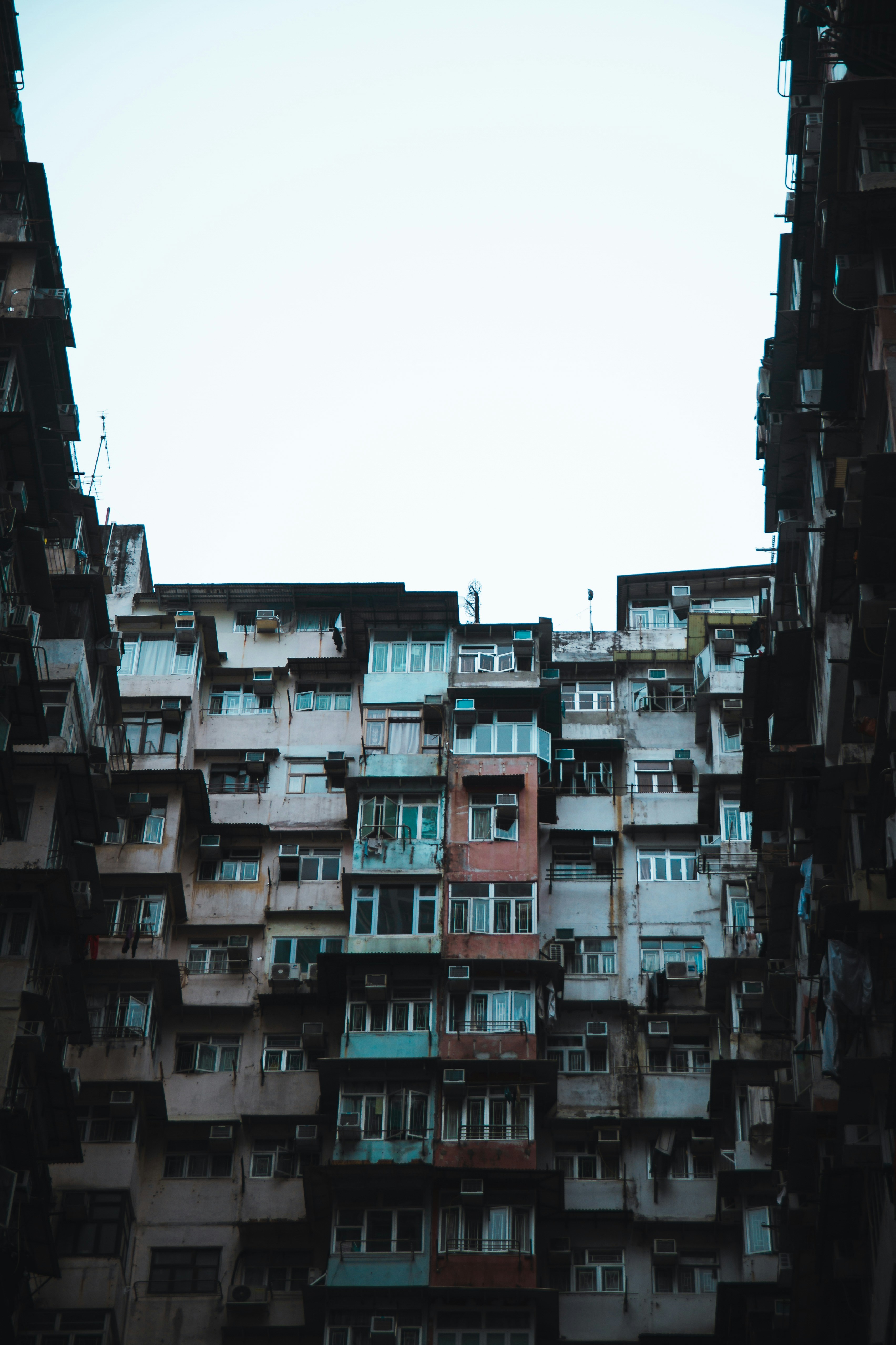 Photo by unclpenguin