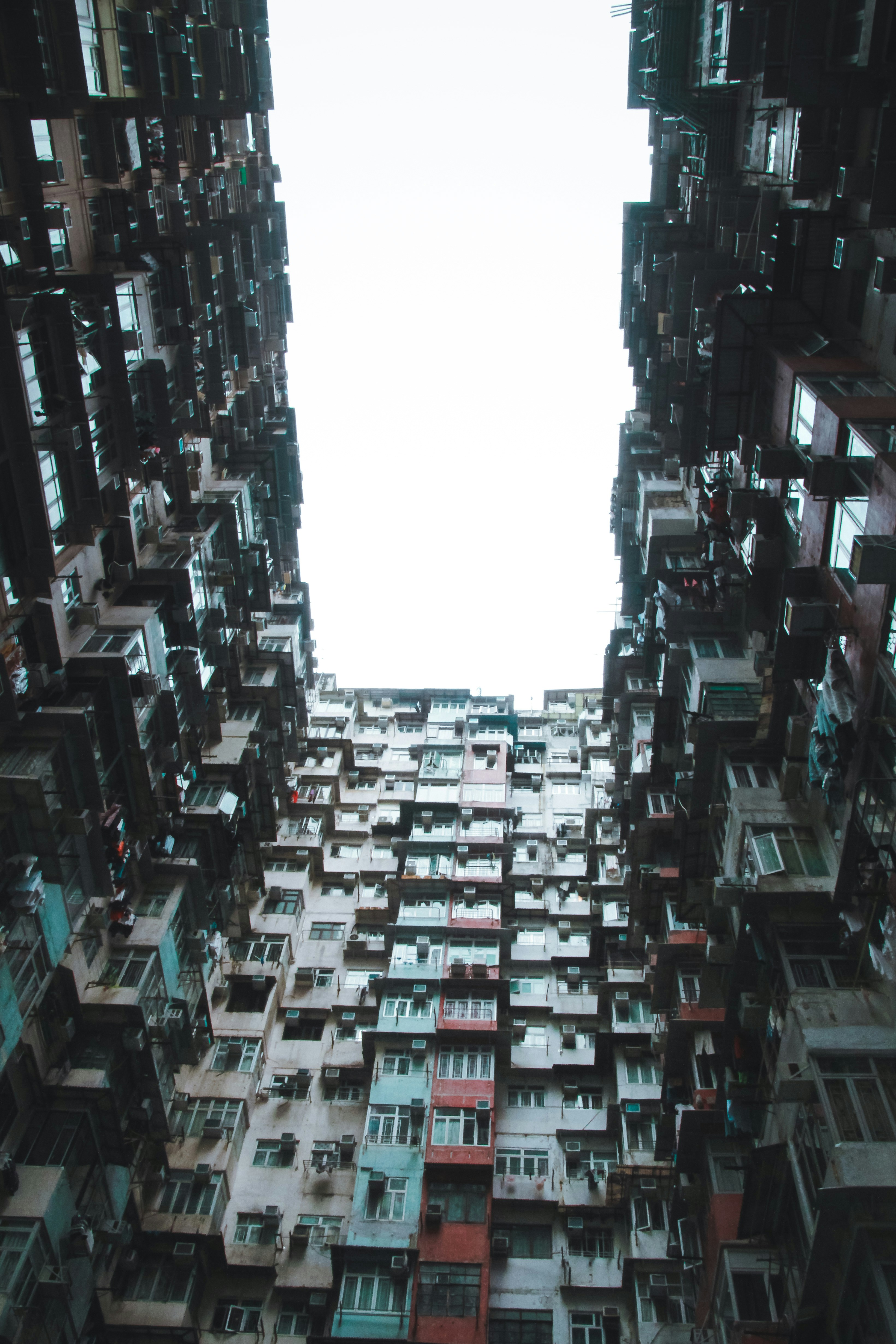 Photo by unclpenguin