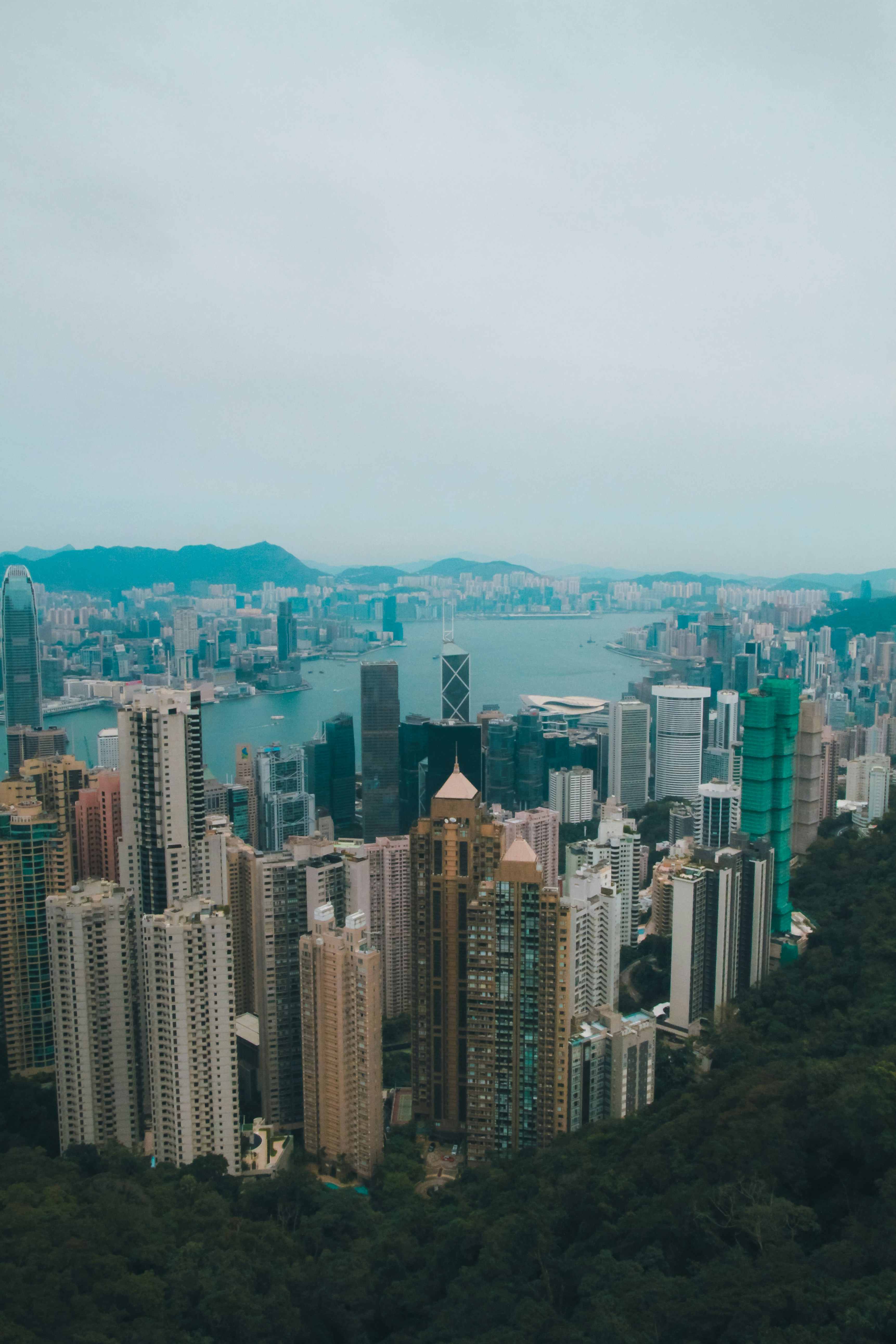 Photo by unclpenguin