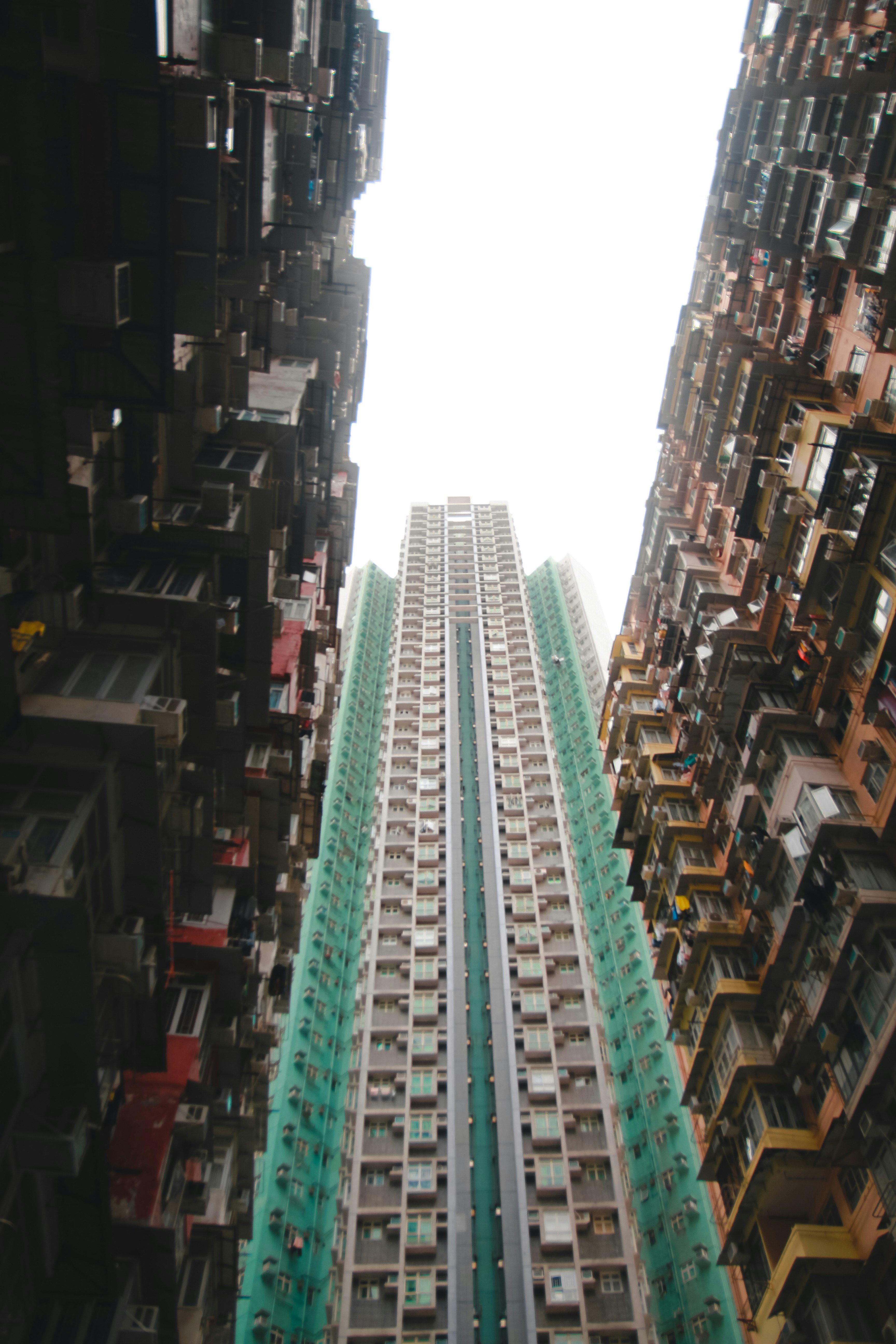 Photo by unclpenguin