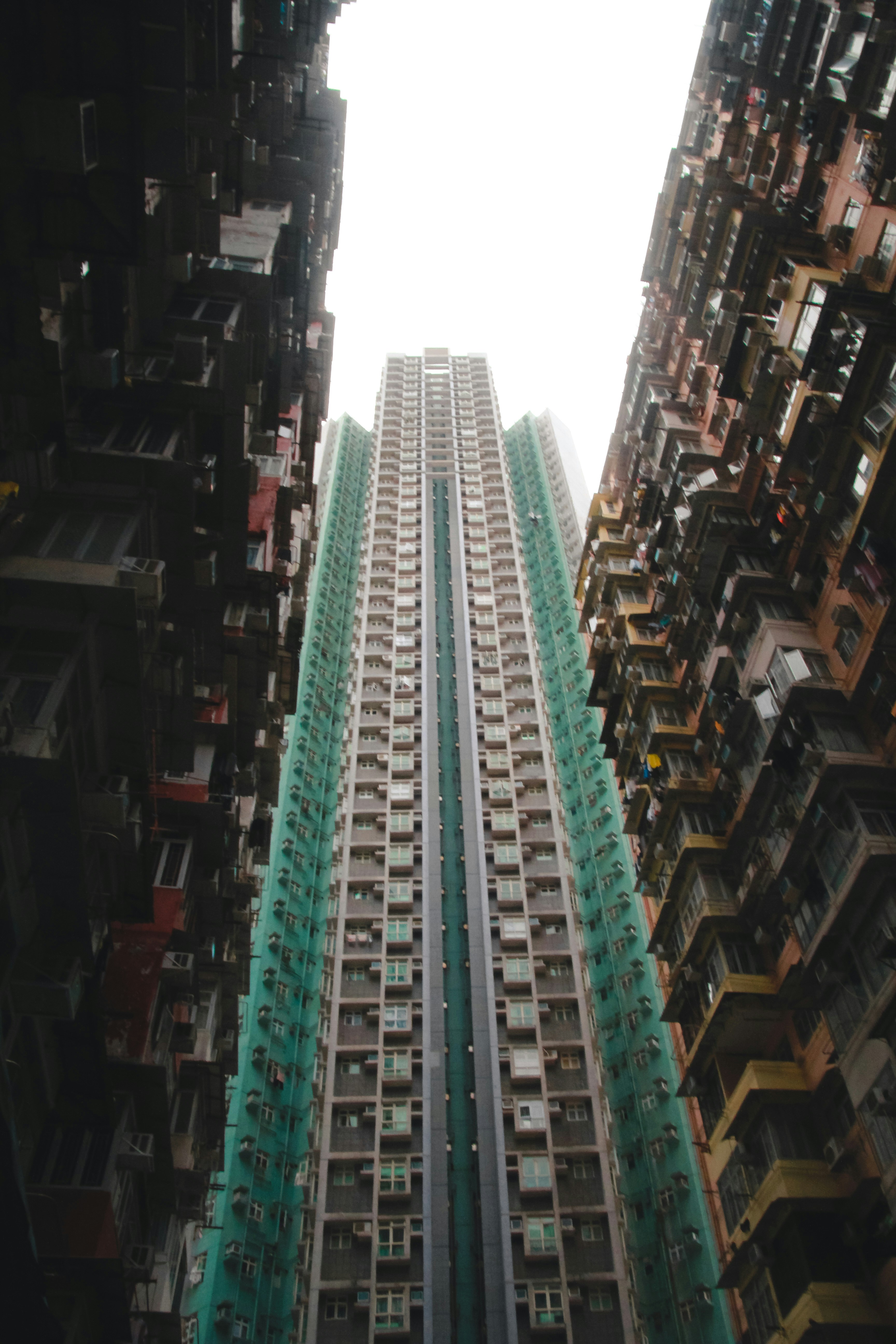 Photo by unclpenguin