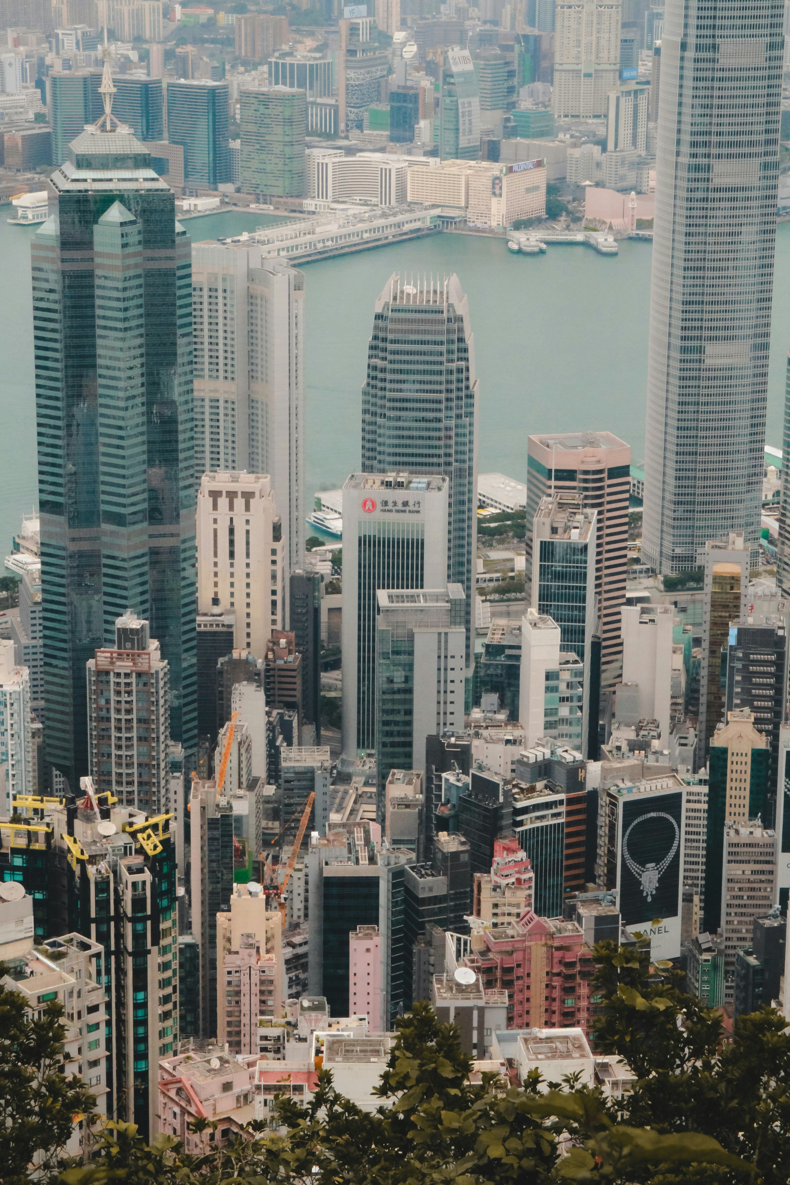 Photo by unclpenguin