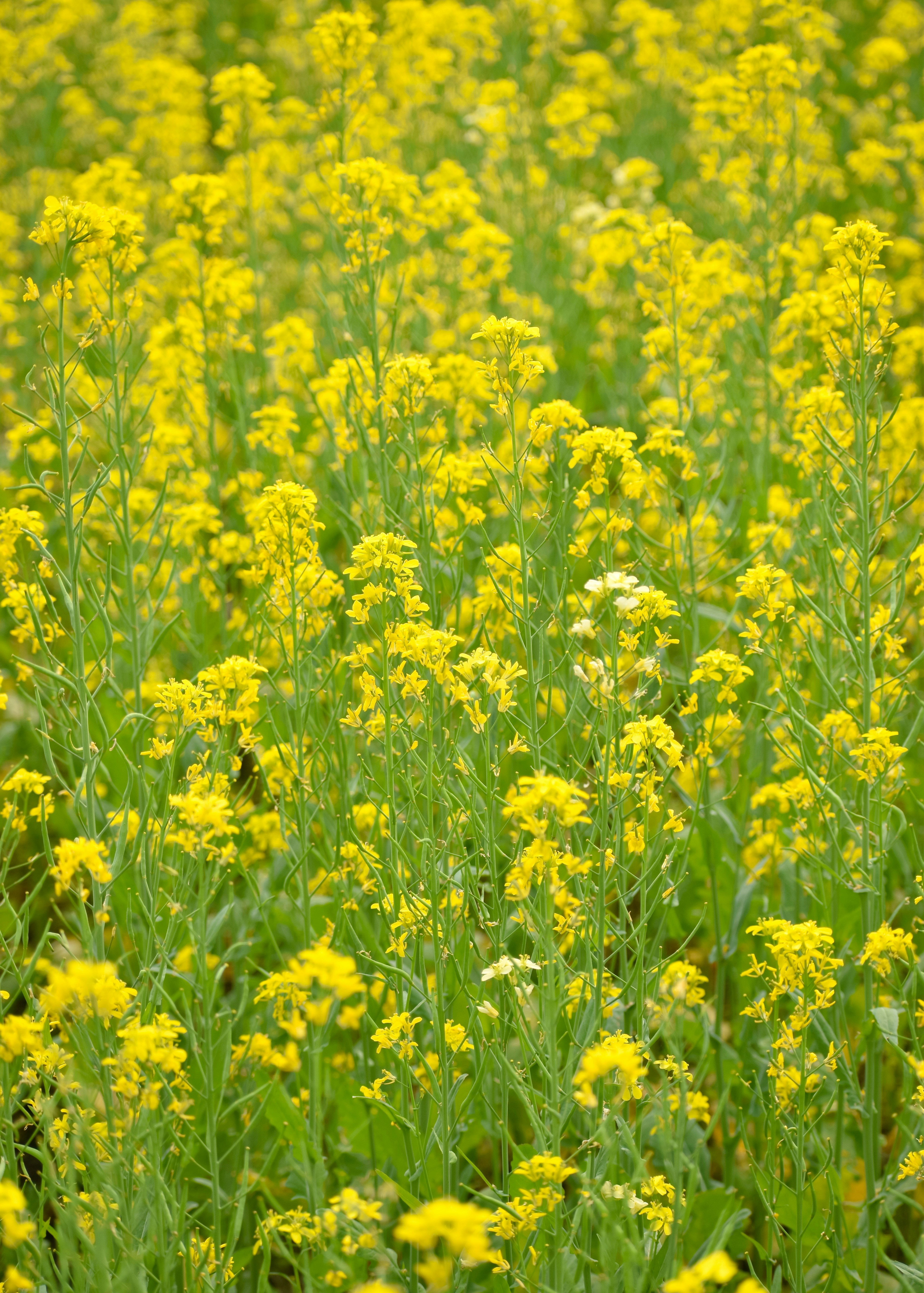 Photo by adventurelife24