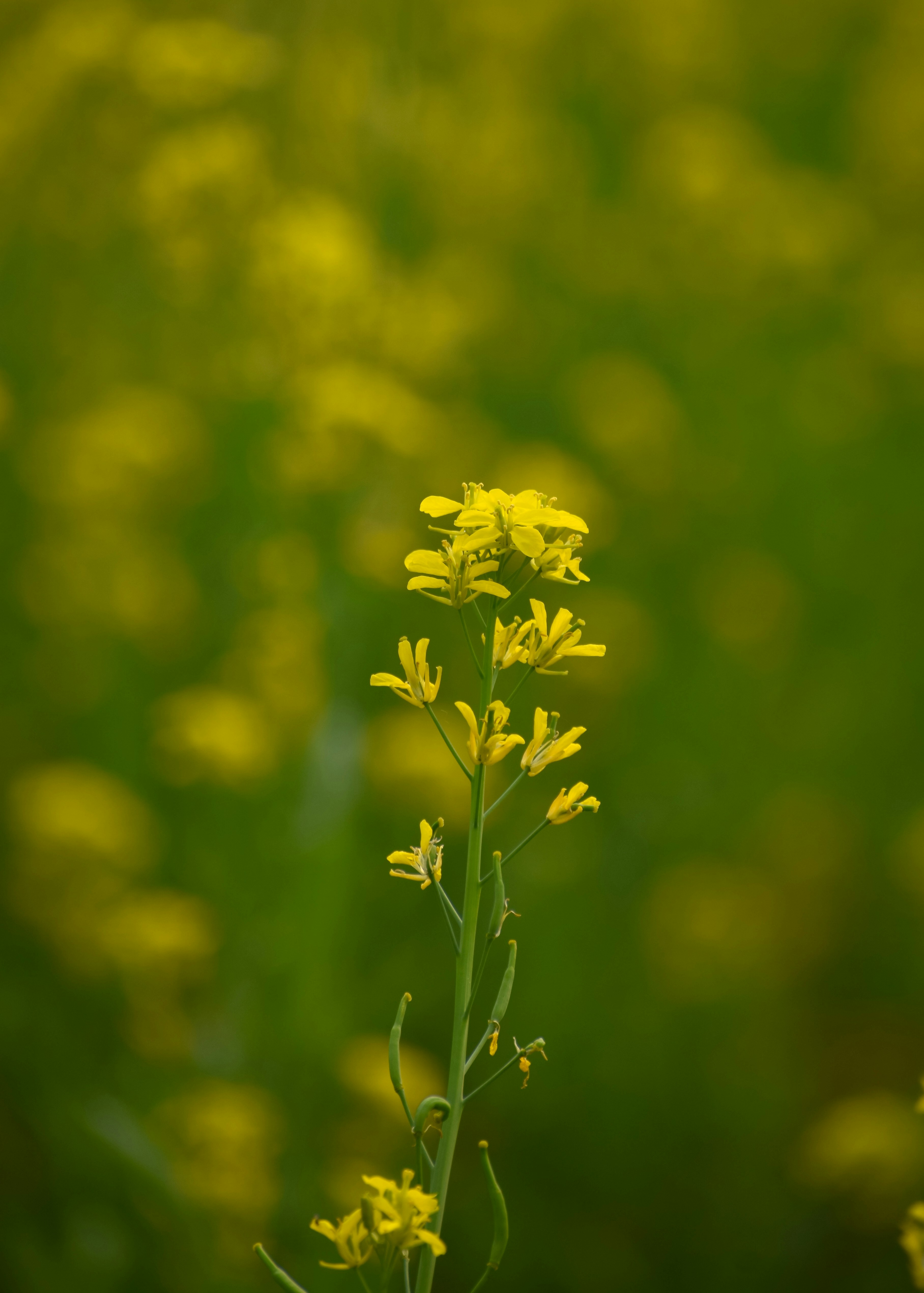 Photo by adventurelife24