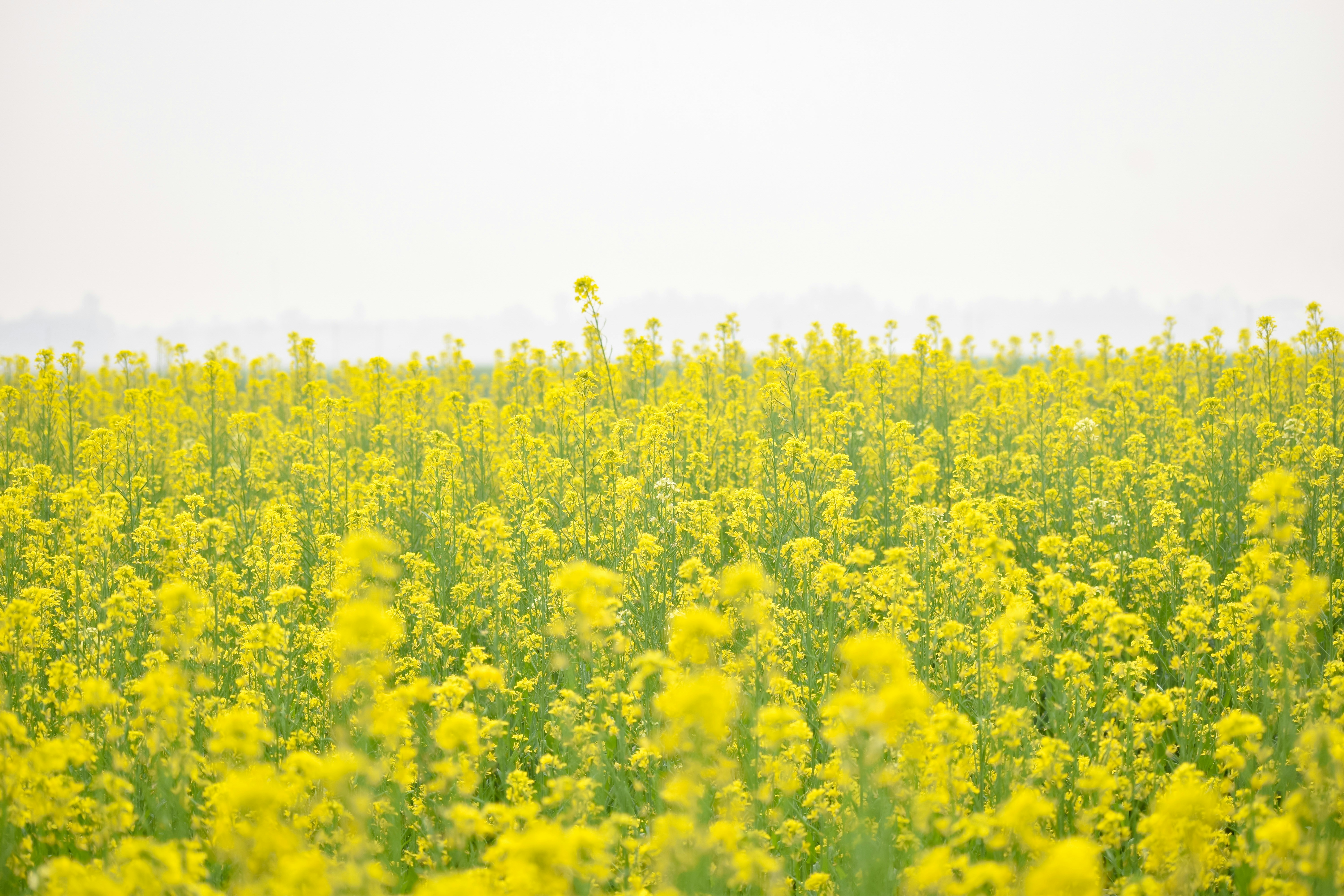 Photo by adventurelife24