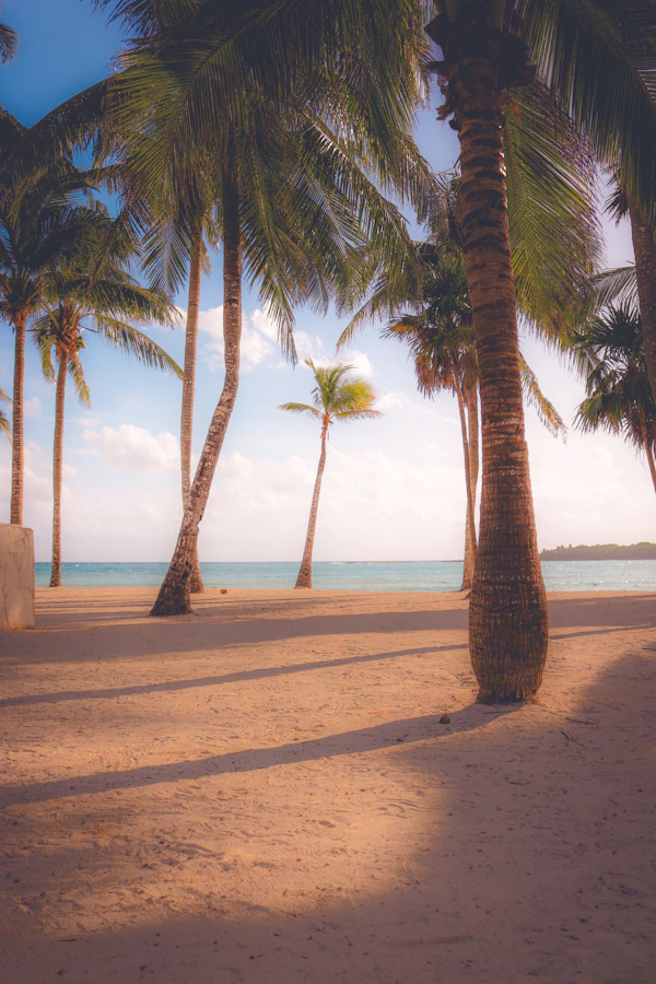 Club Med Cancún: All Inclusive na Riviera Maya