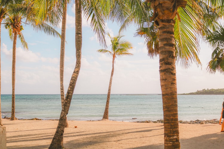 Melia Varadero resort