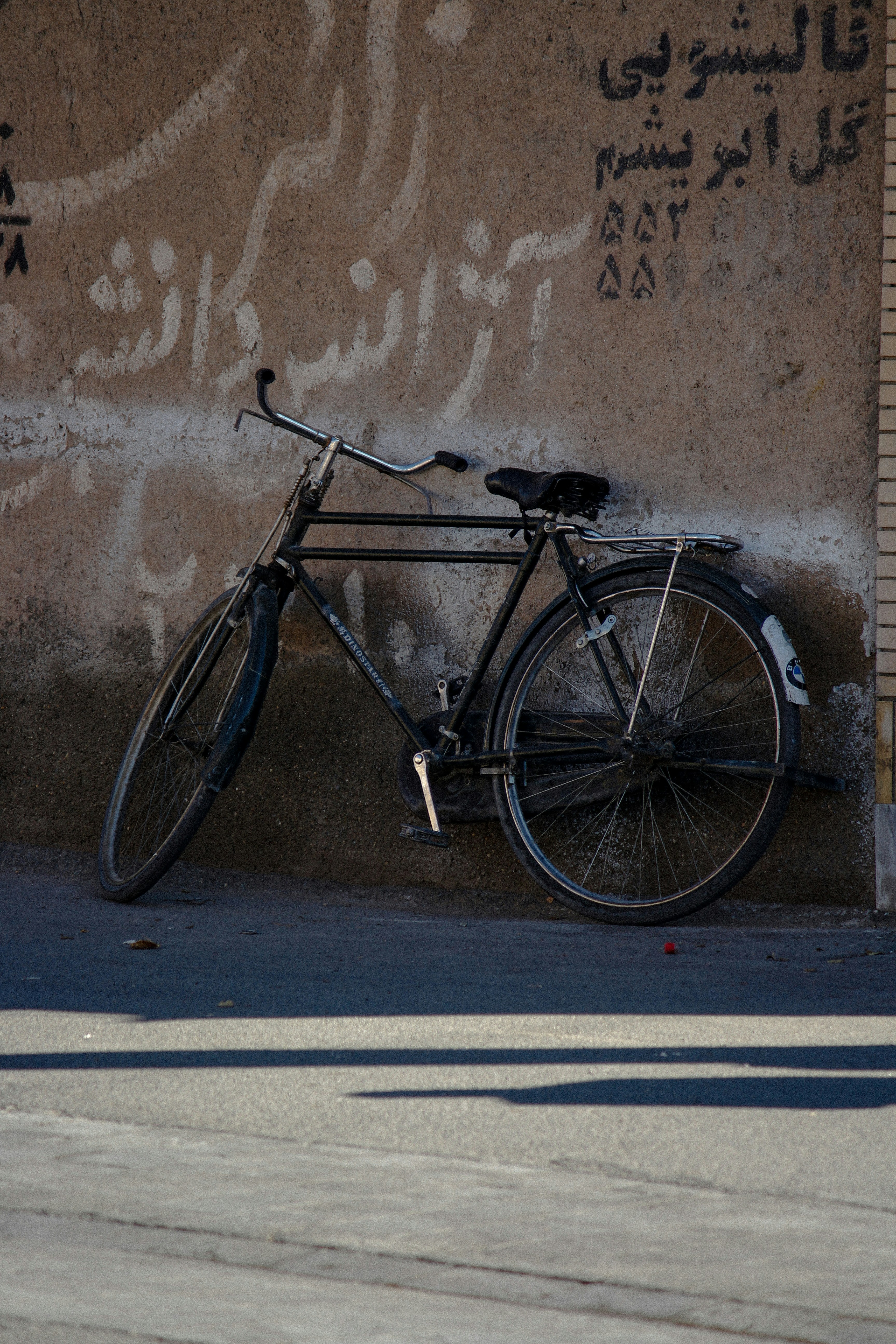 Photo by camuschavoshi