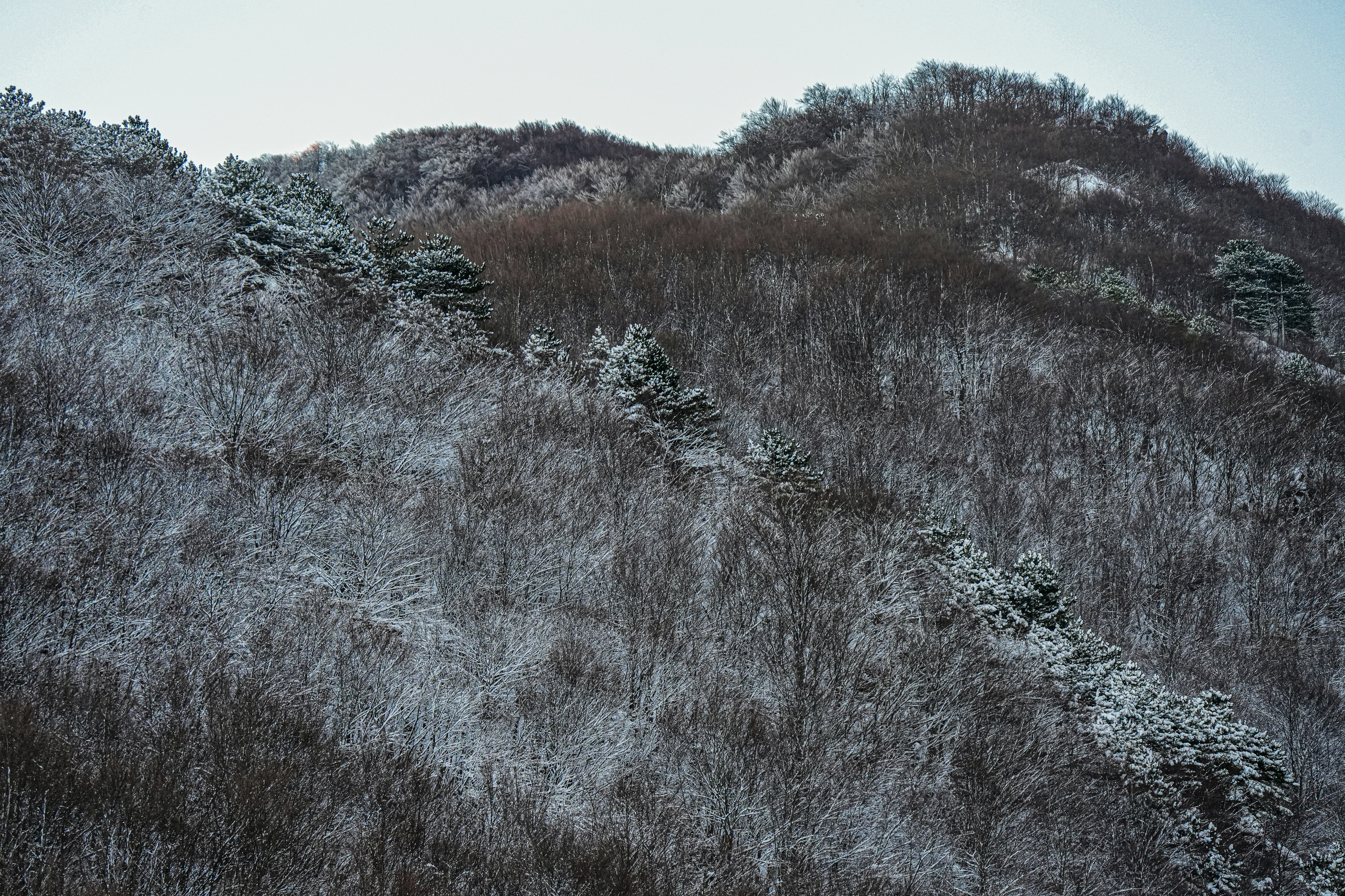 Photo by 3kolone