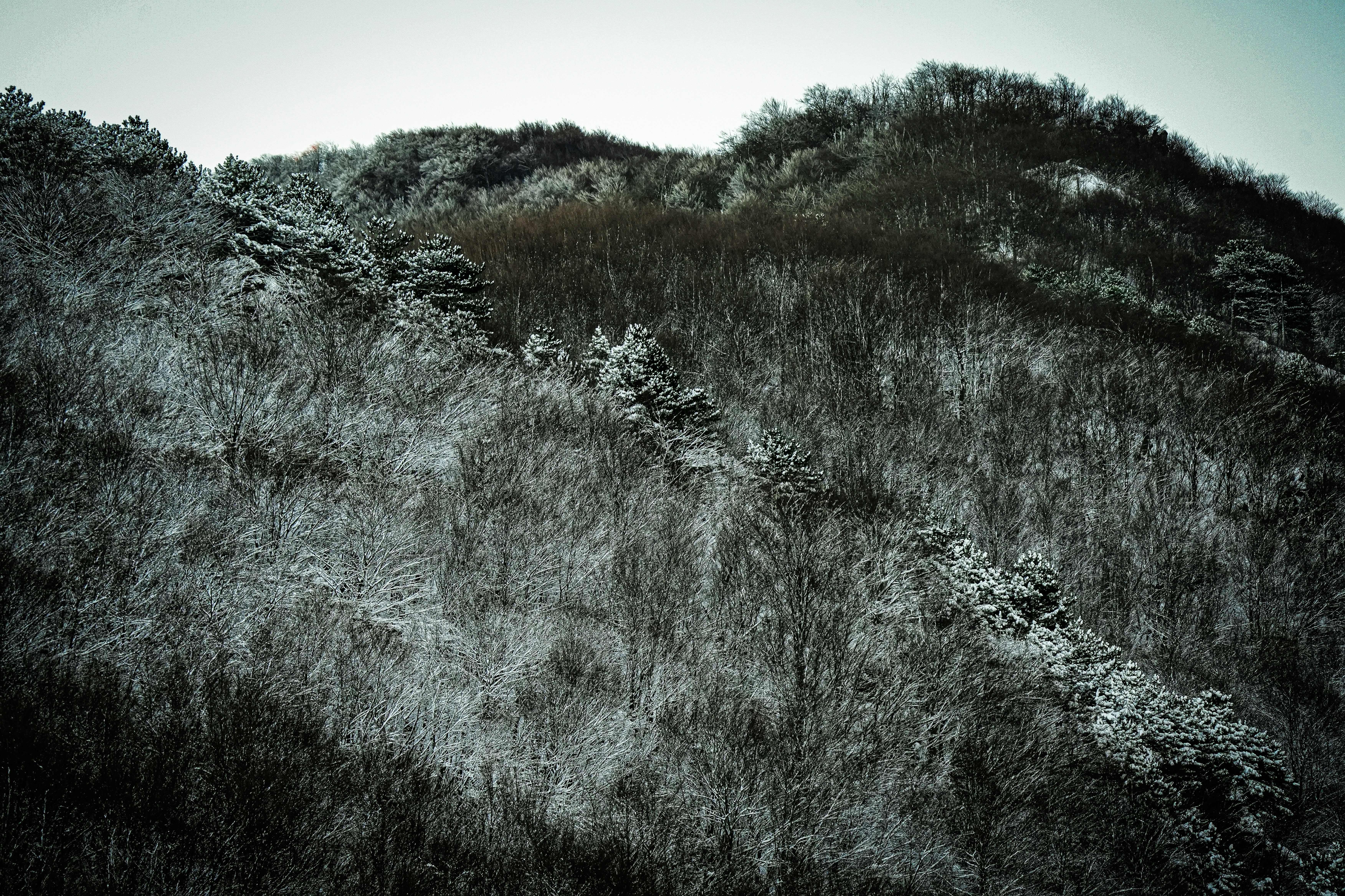 Photo by 3kolone