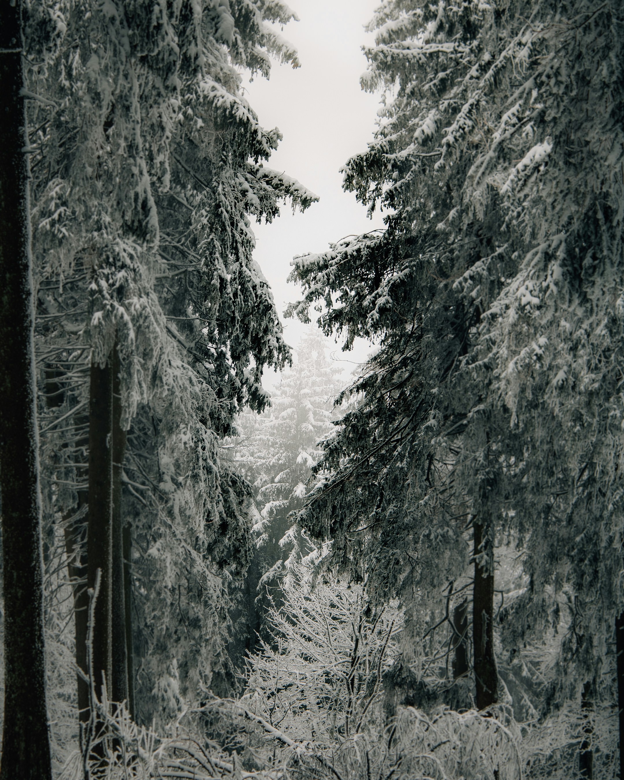 Photo by janjobczyk