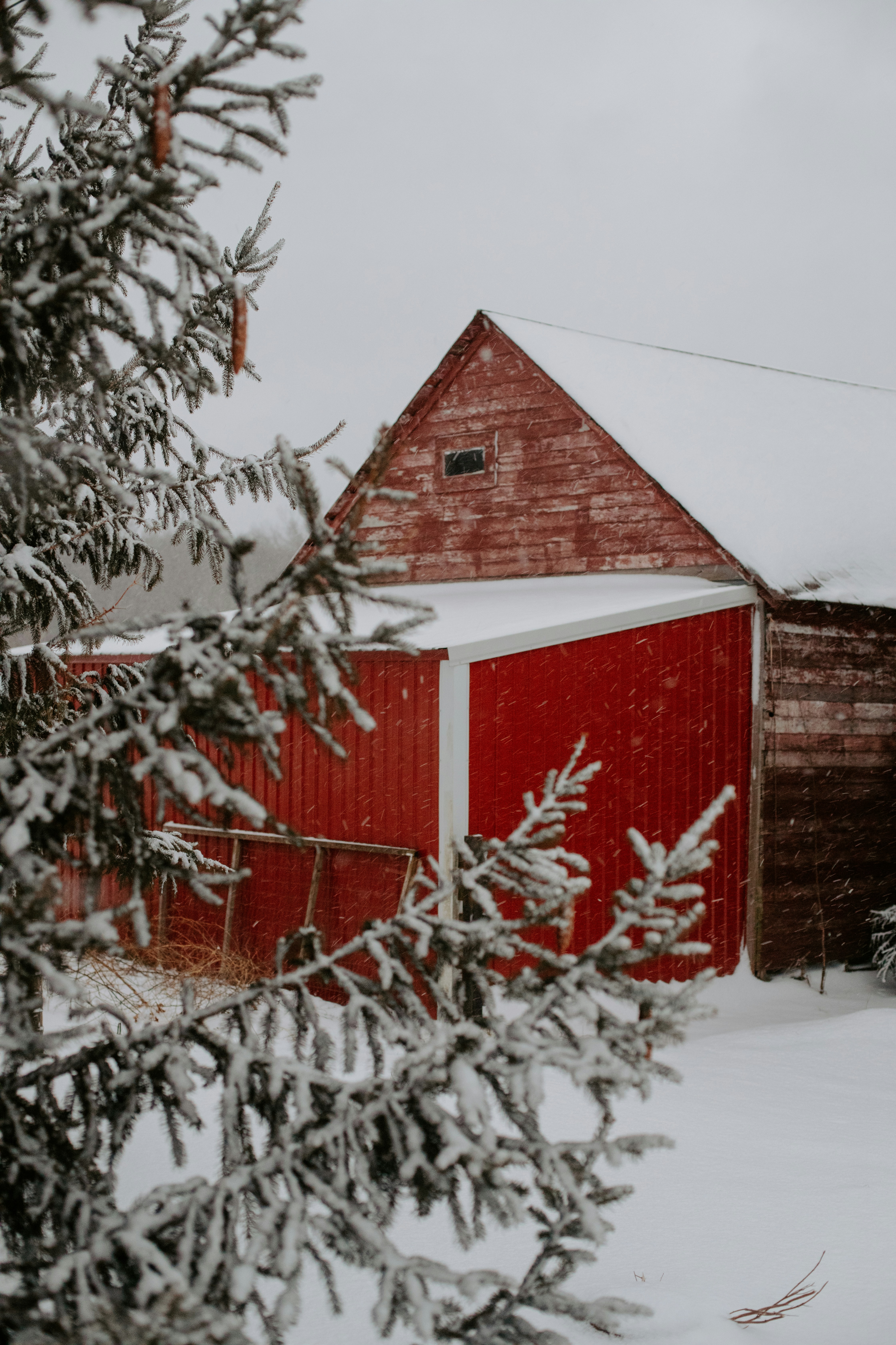 A red barn surrounded by snow covered trees