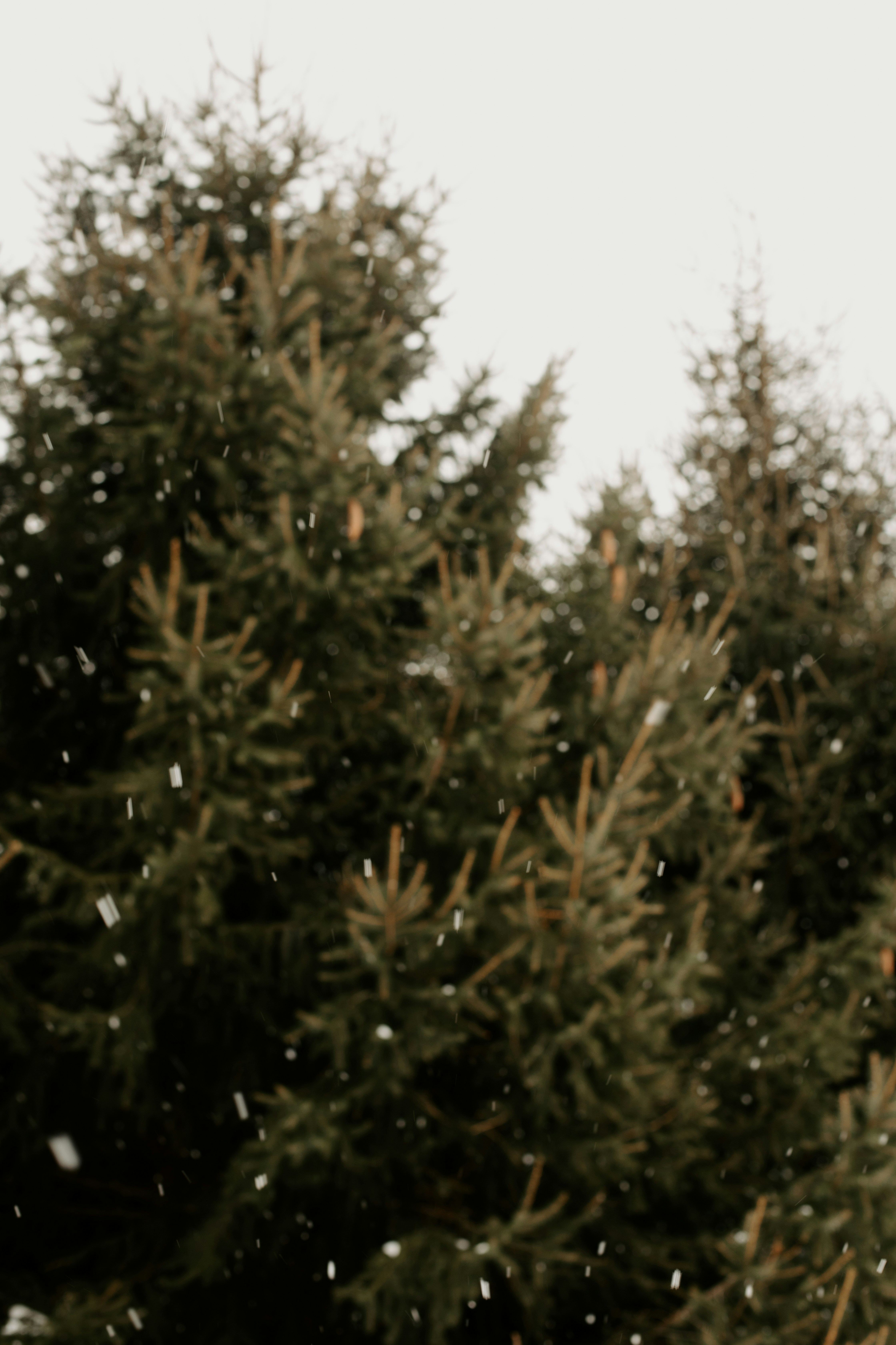 A man holding a frisbee on top of a snow covered field