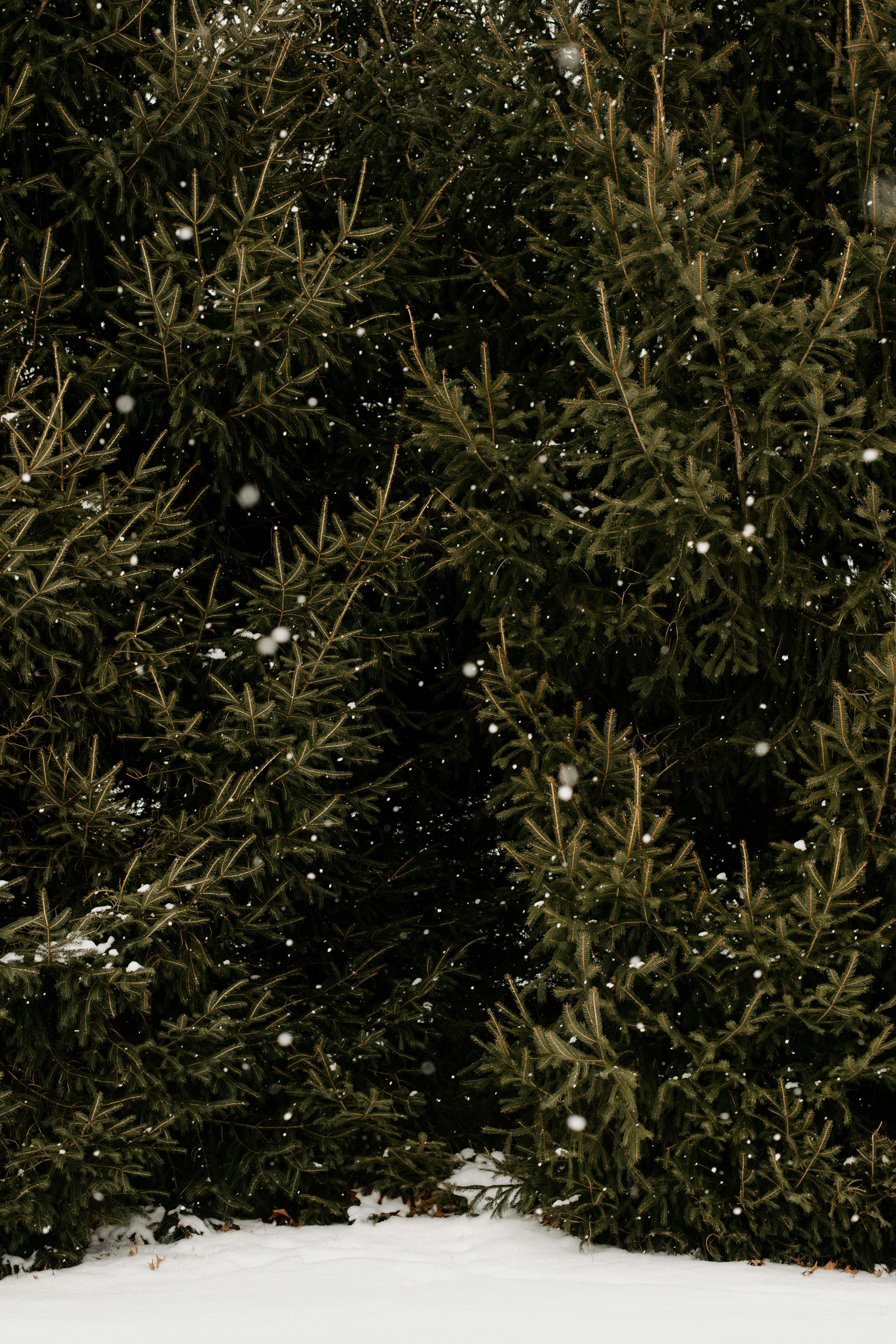 A snowboarder is going down a snowy hill