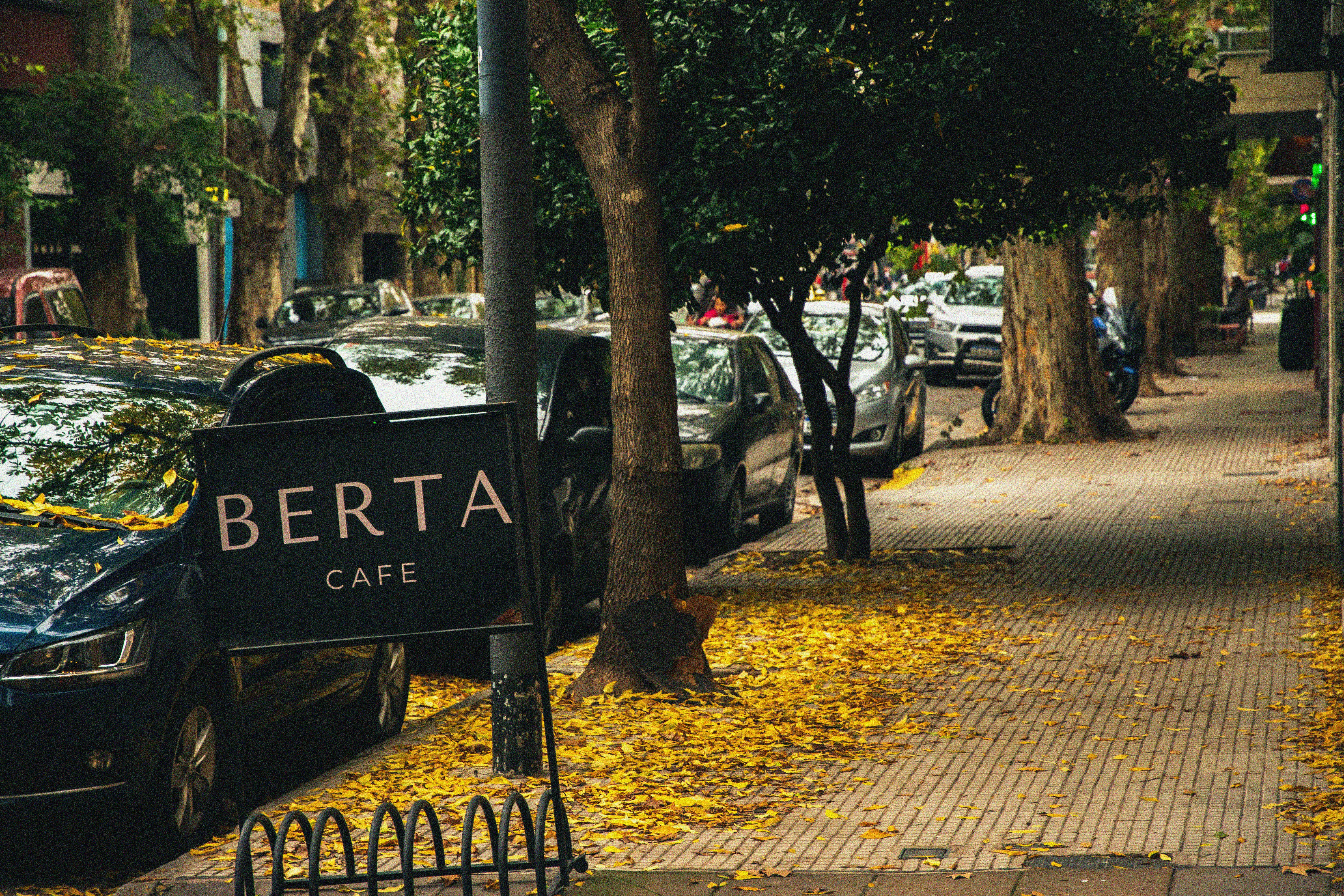 A car parked on the side of a road next to a tree