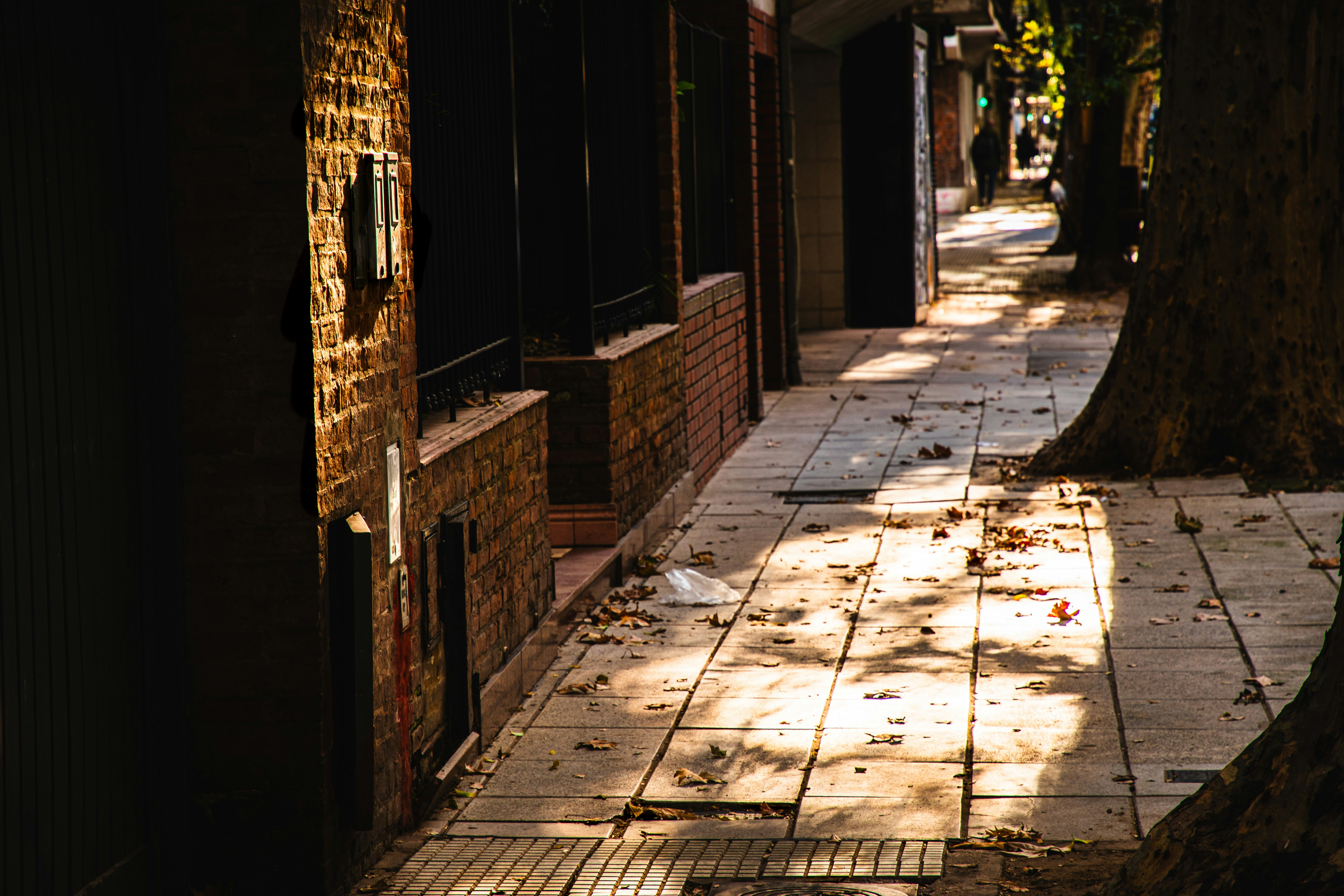 A dark alley way with a tree and brick buildings