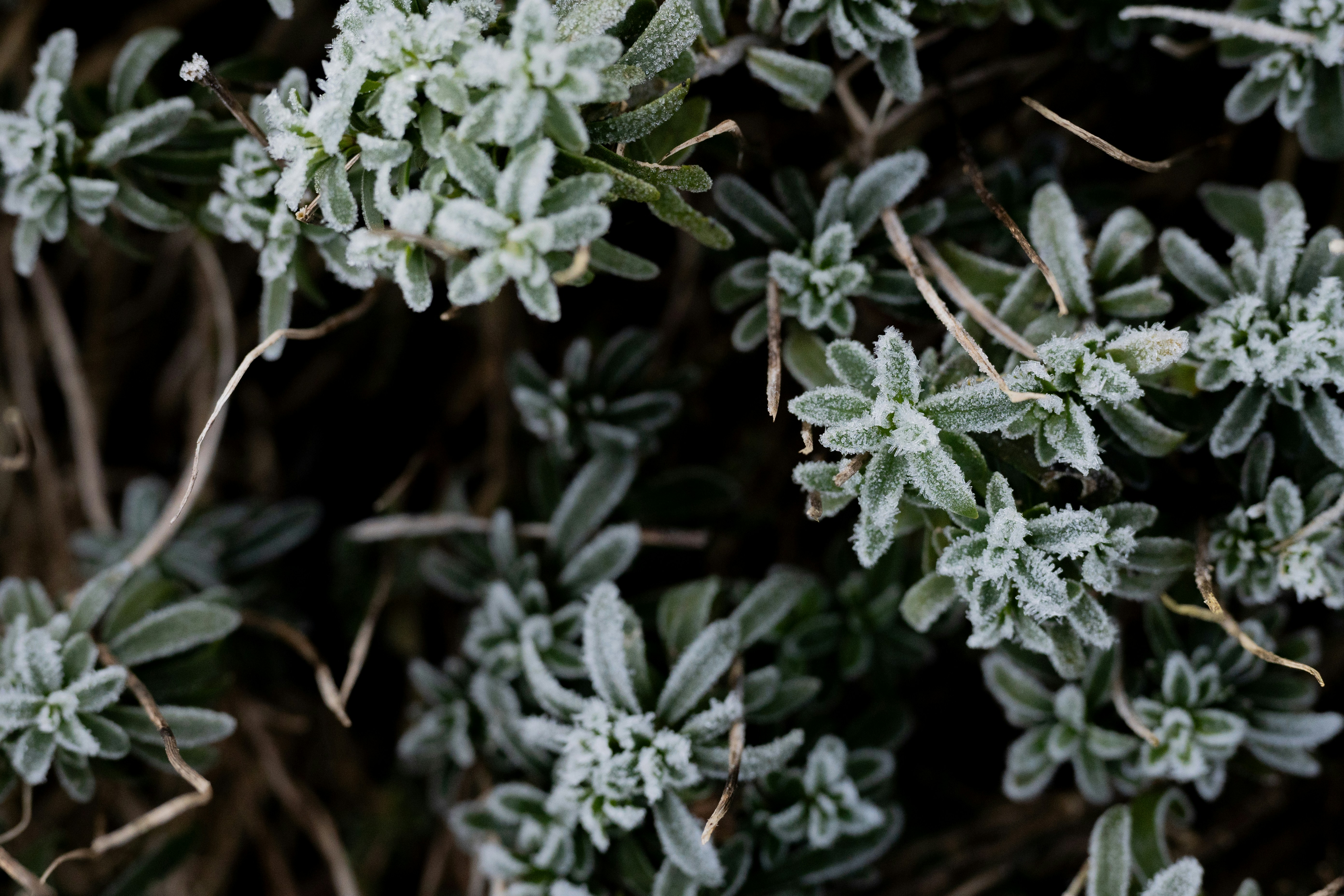 Photo by melanieweidmann_photography