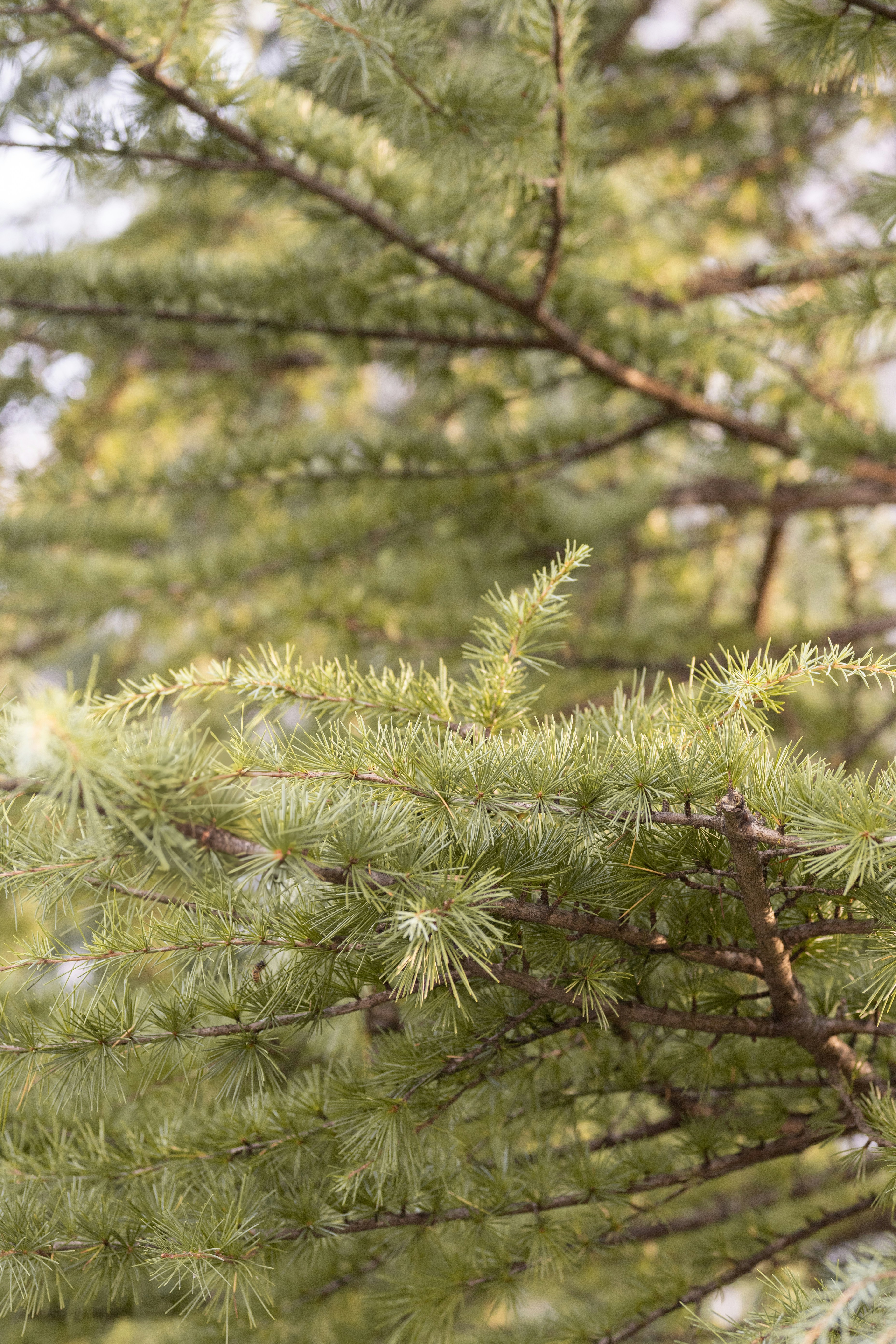 Photo by melanieweidmann_photography