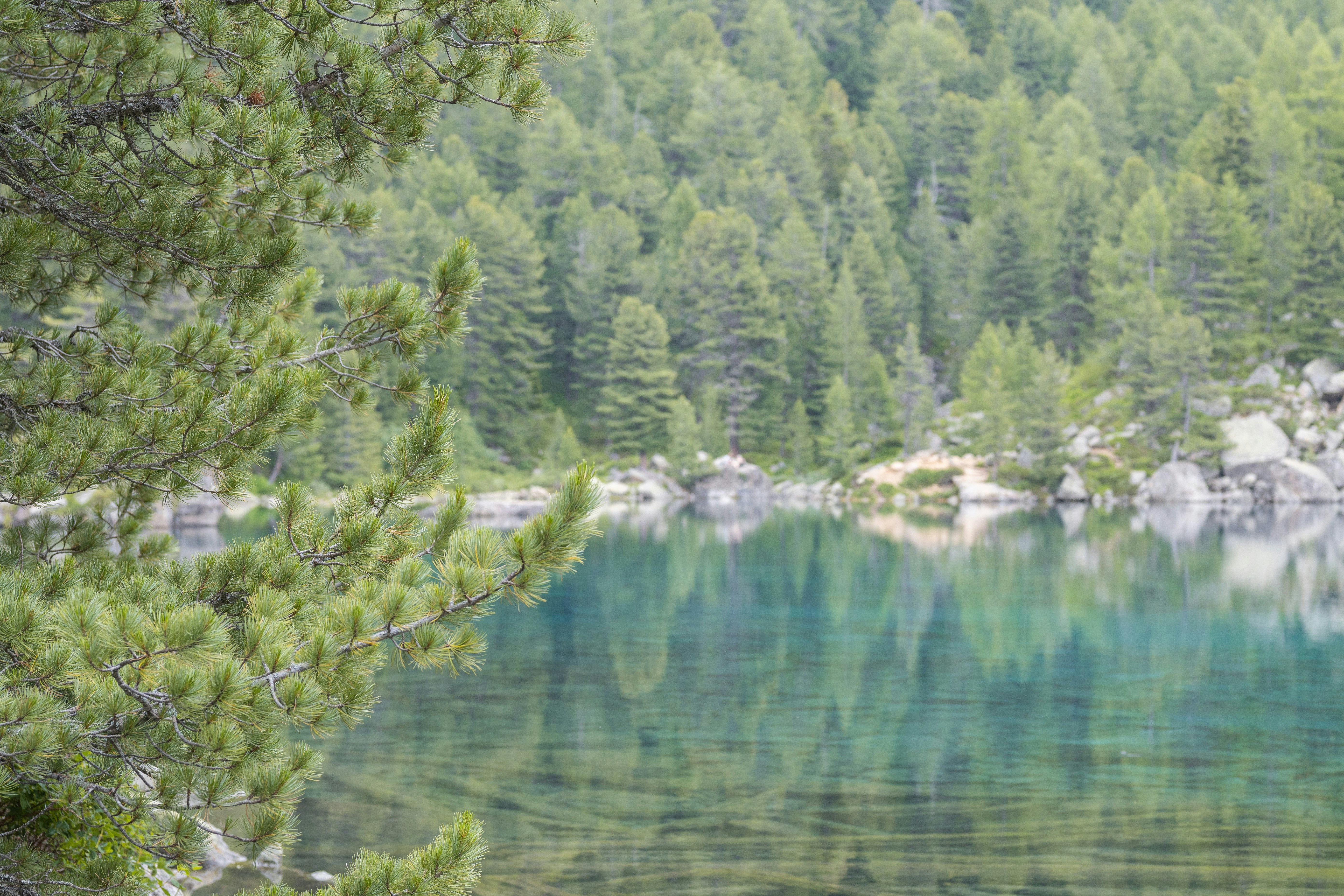 Photo by melanieweidmann_photography