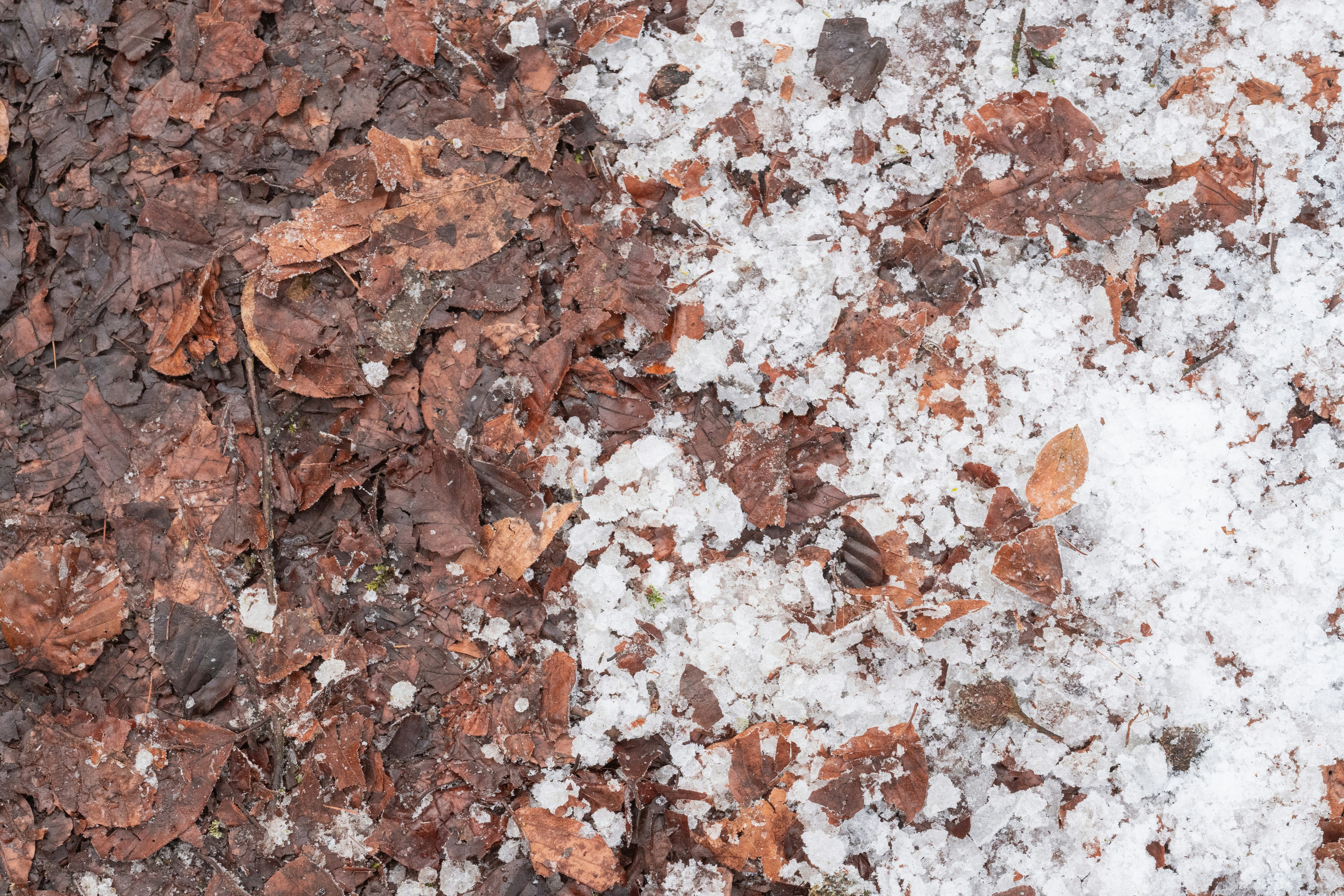 Photo by melanieweidmann_photography