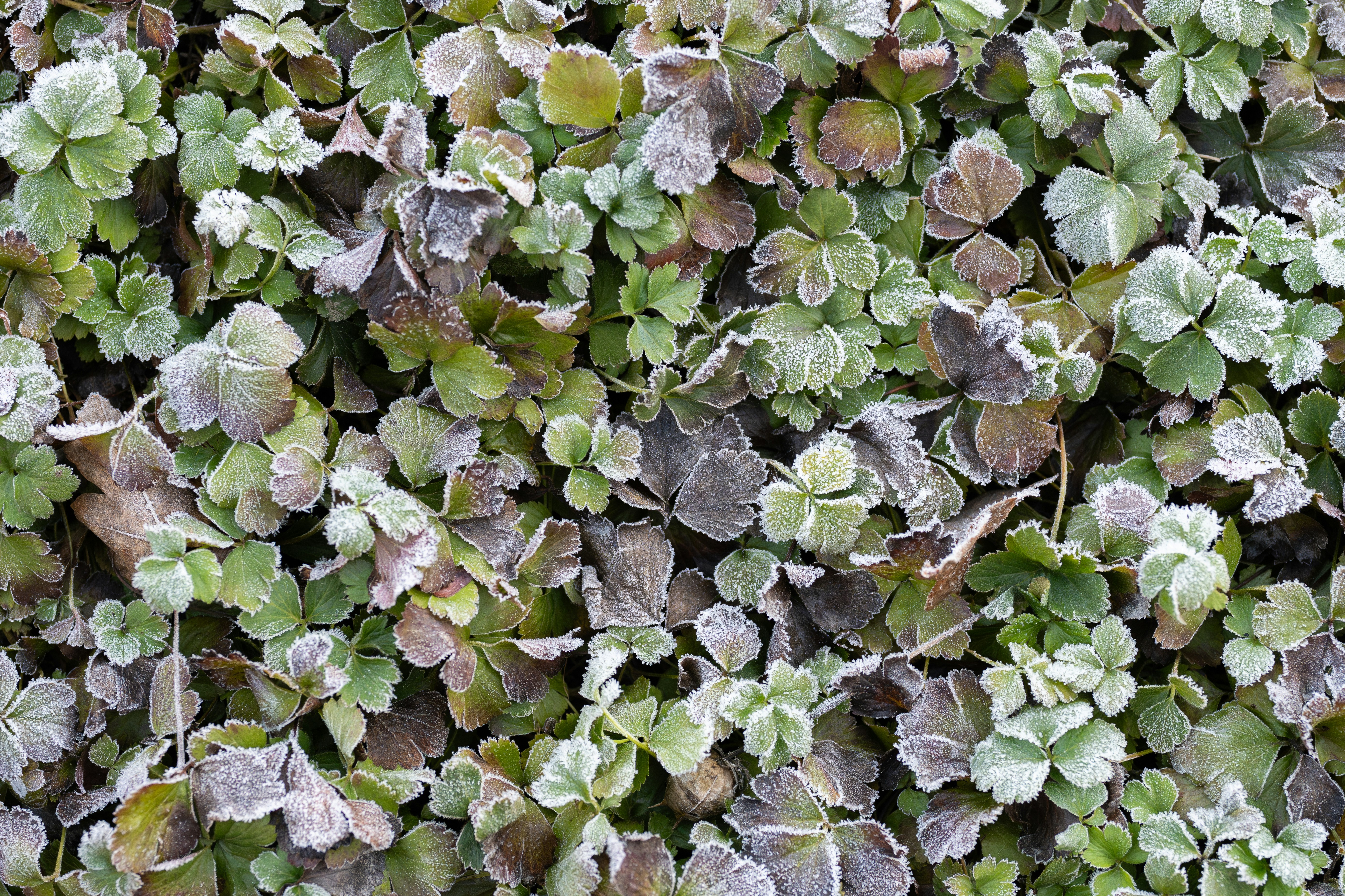 Photo by melanieweidmann_photography