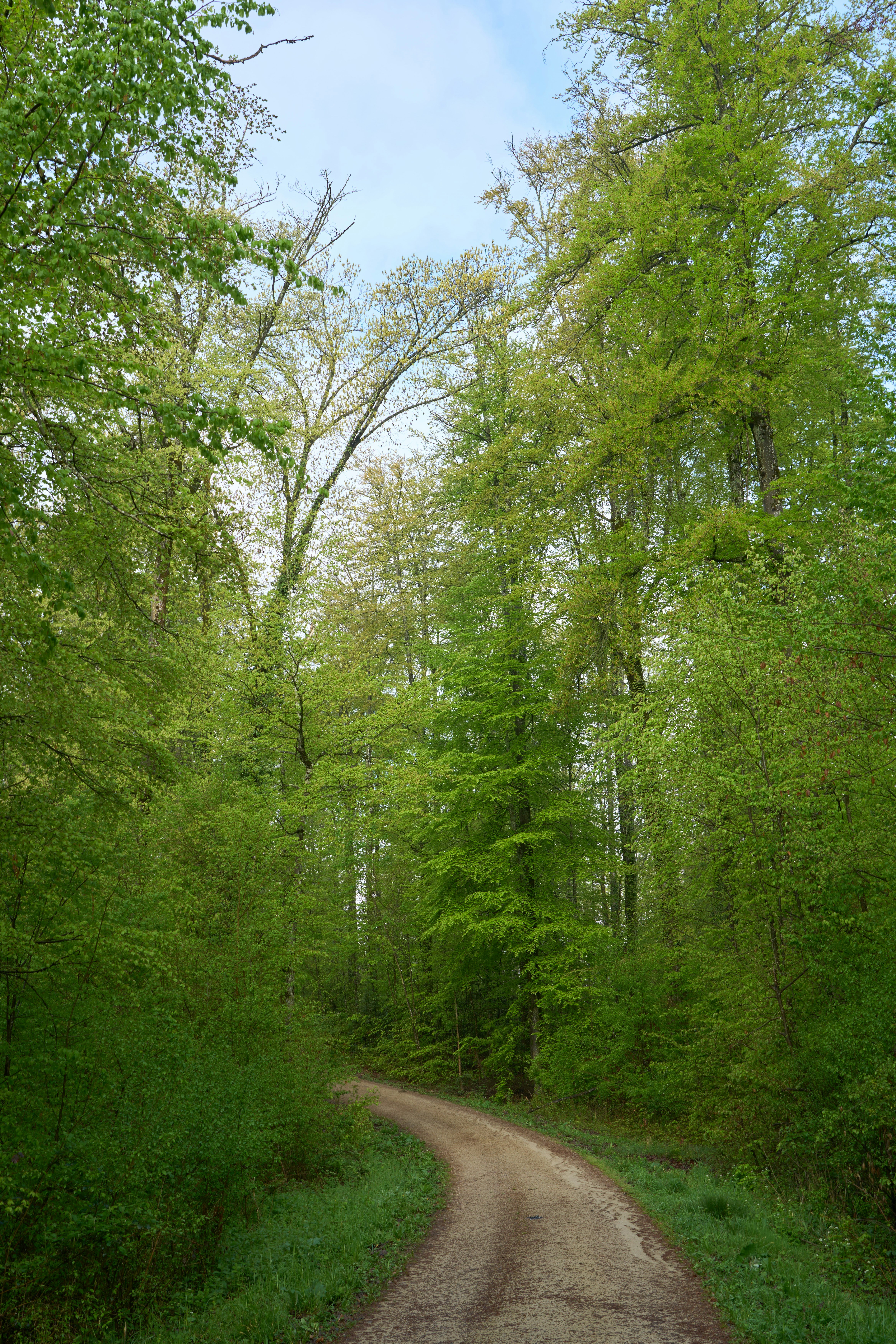 Photo by wolfgang_hasselmann