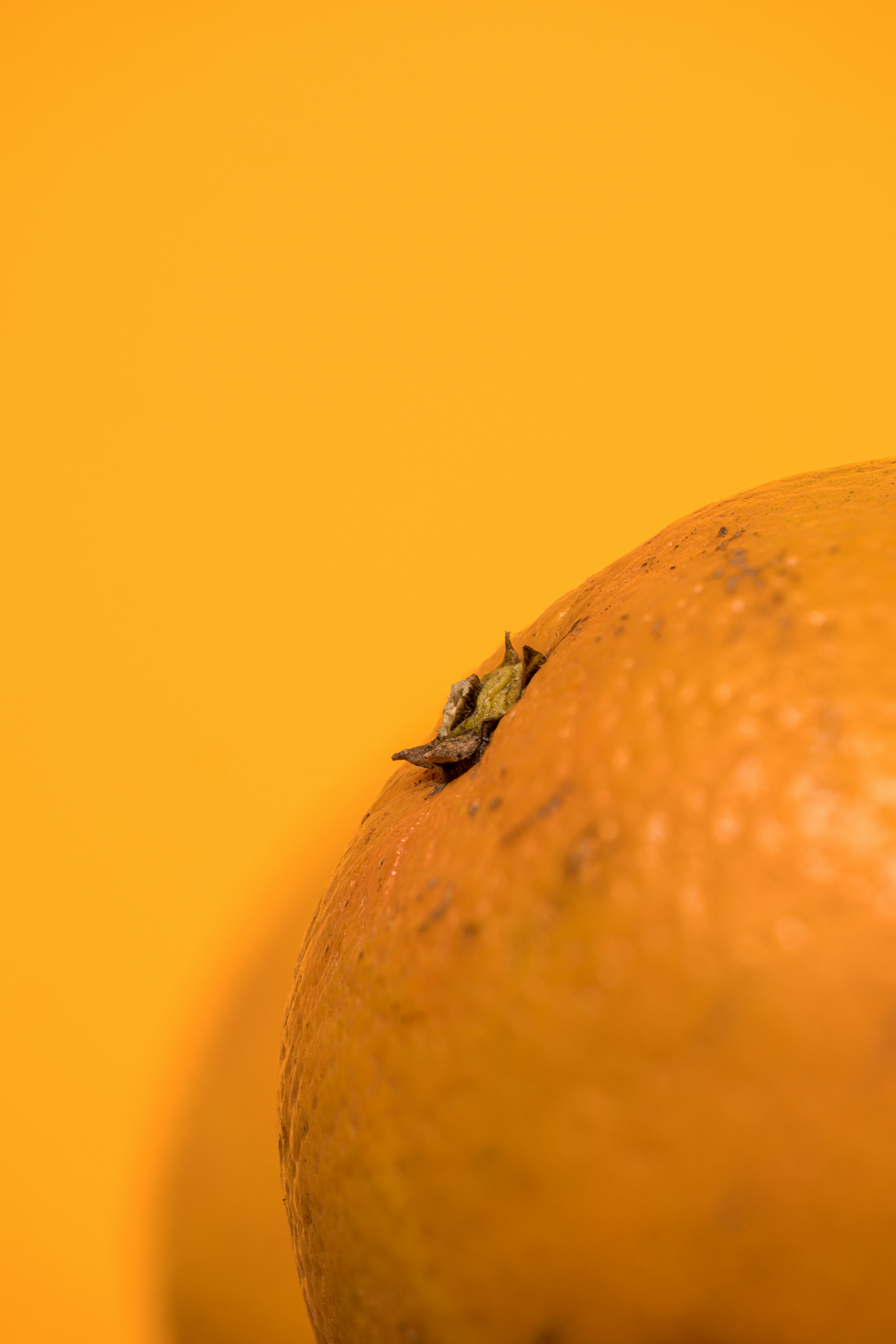 A close up of an orange on a yellow background