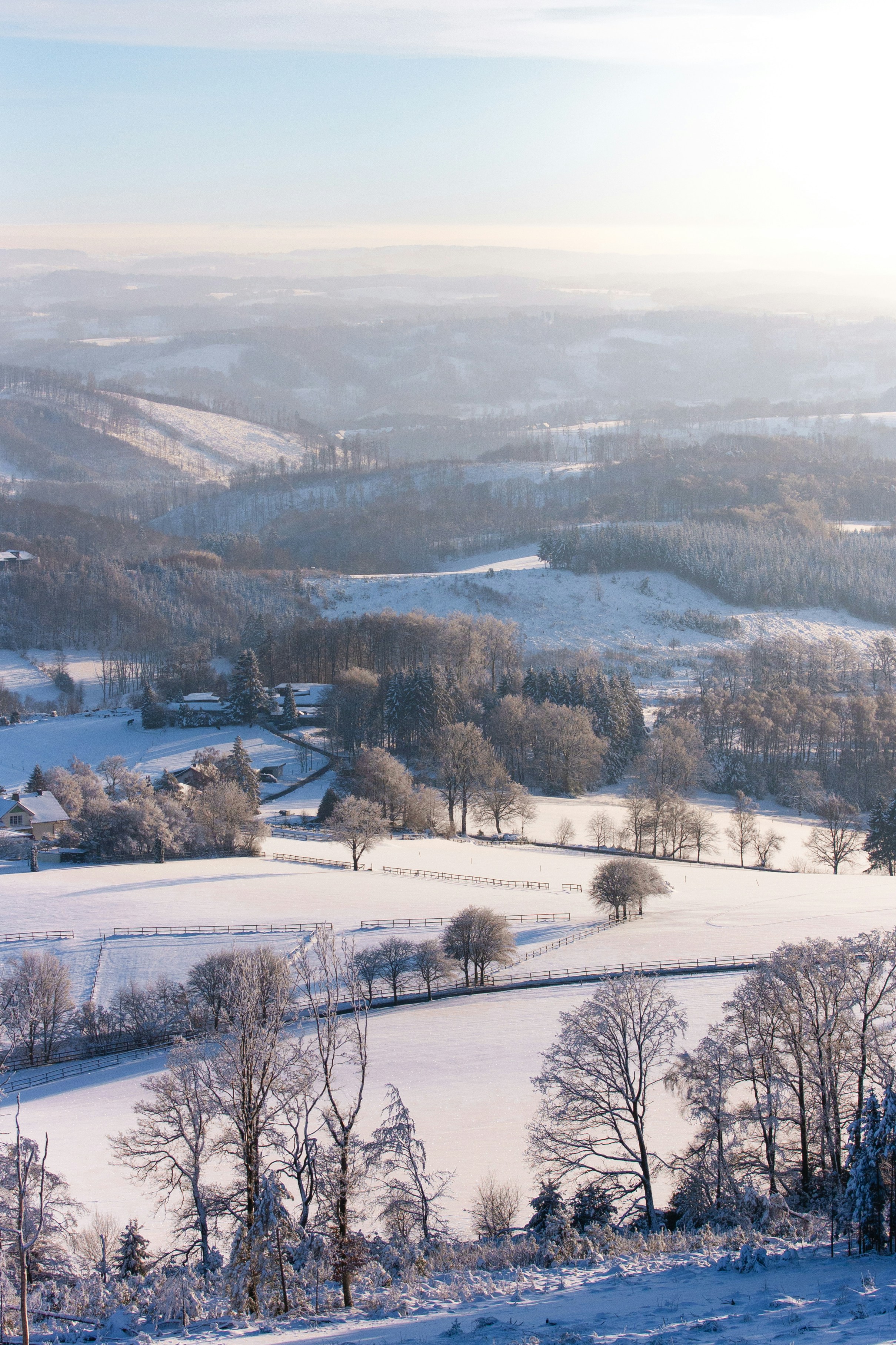 👵💰👵💰: ‘황혼 복지’ 저울, 엇갈리는 세대 공감 vs. 재정 폭탄?