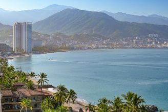 A view of a beach with a city in the background