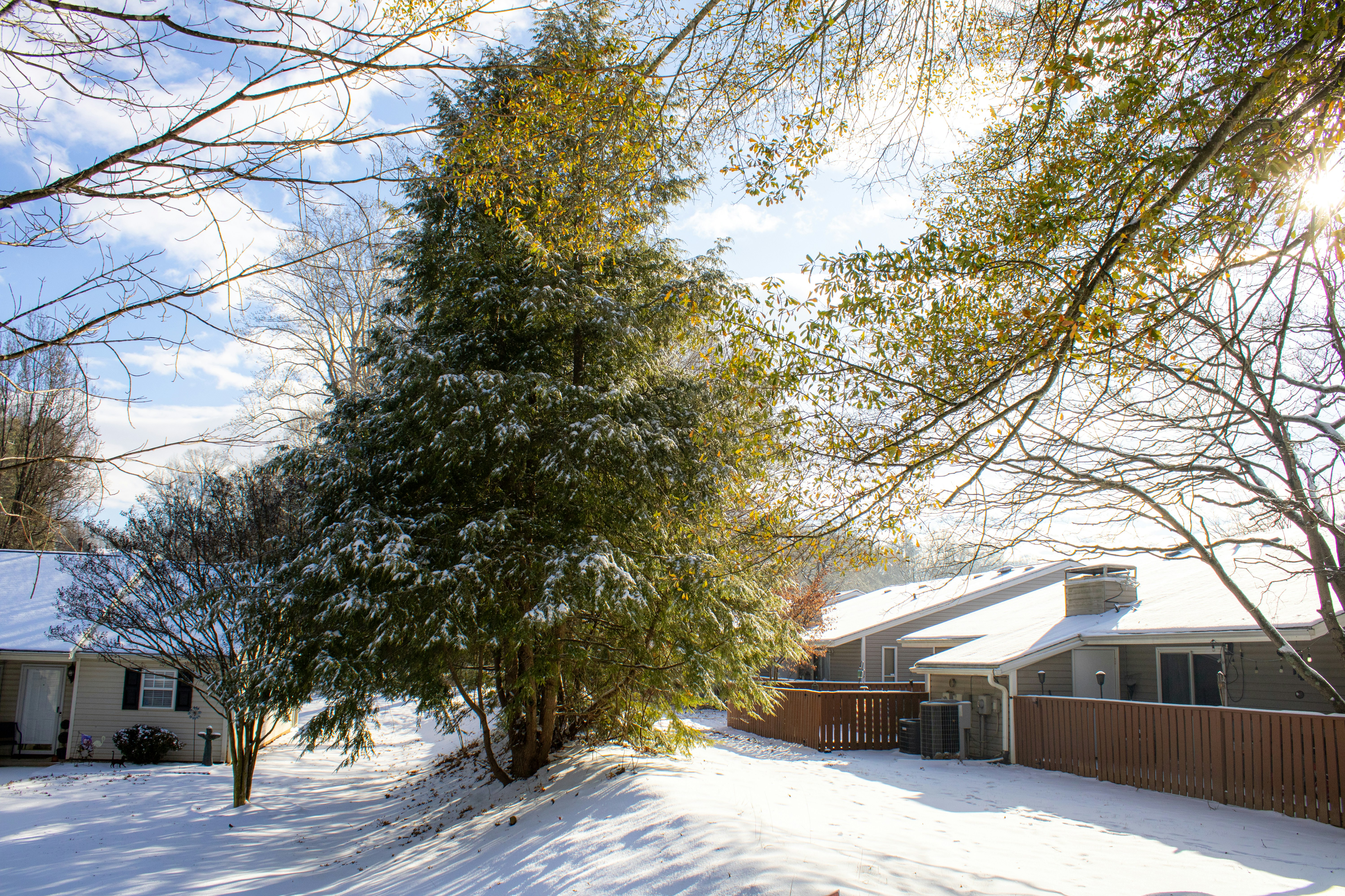 Photo by paigelaineelmer_photos