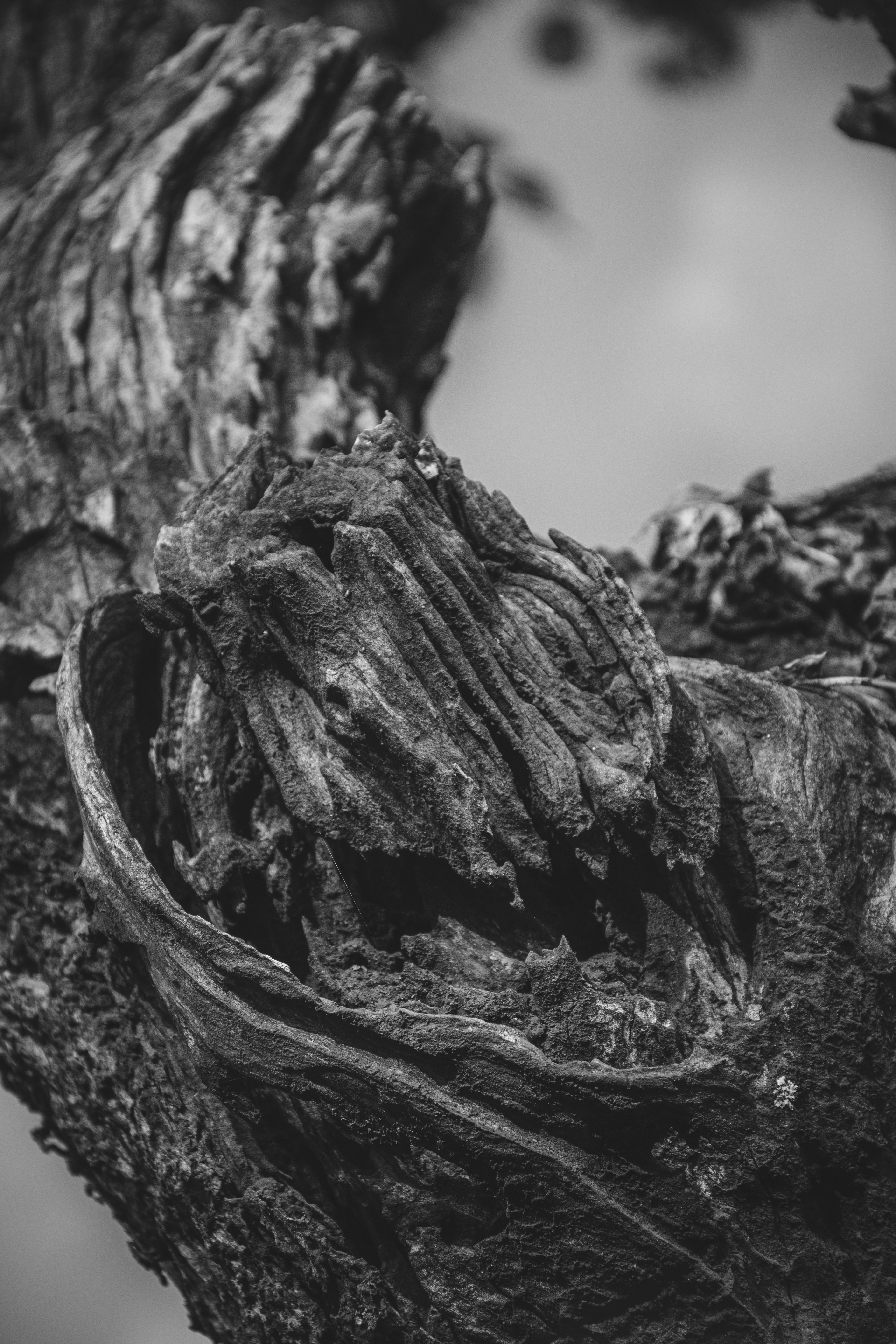 Photo by storyzangu_hub