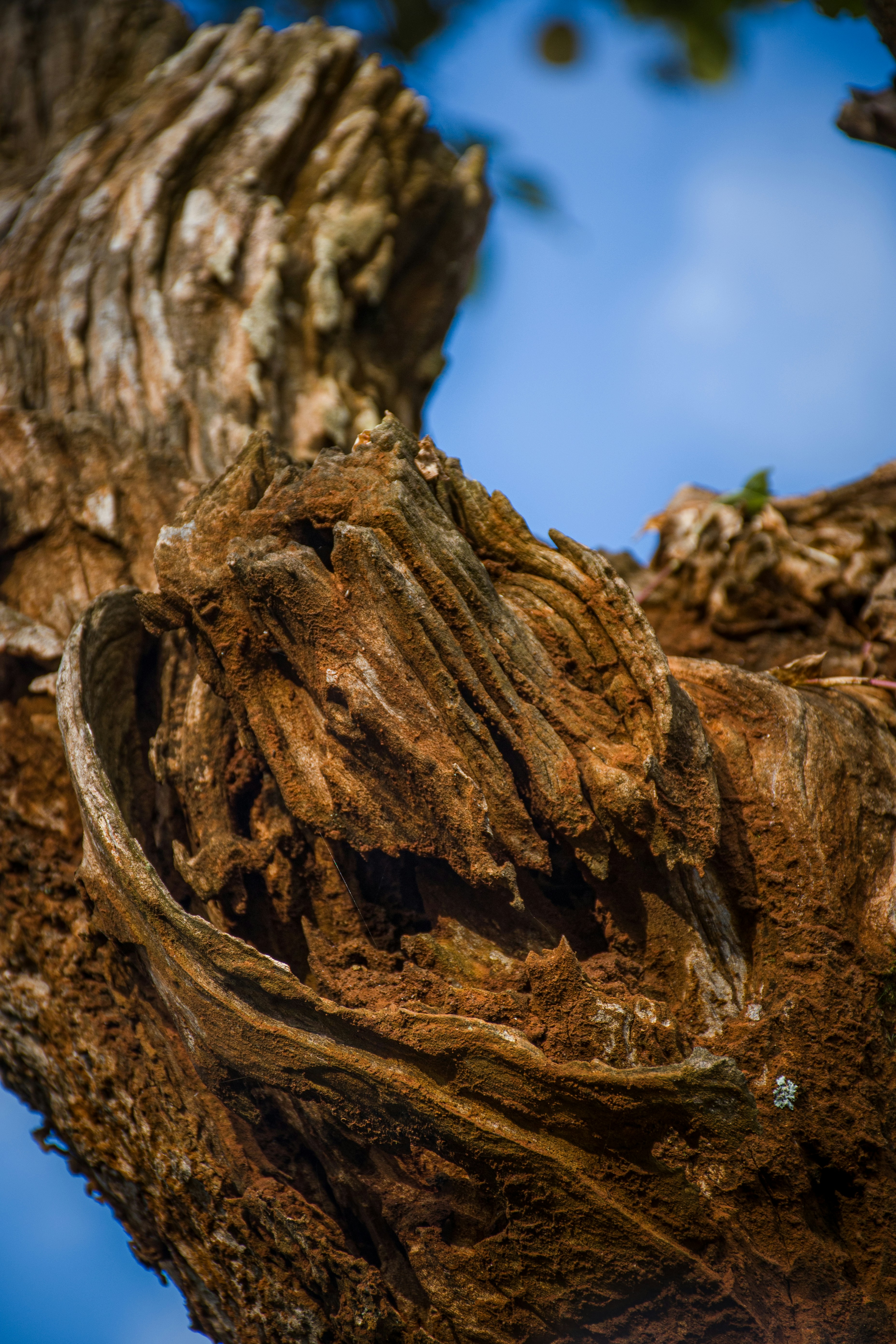 Photo by storyzangu_hub