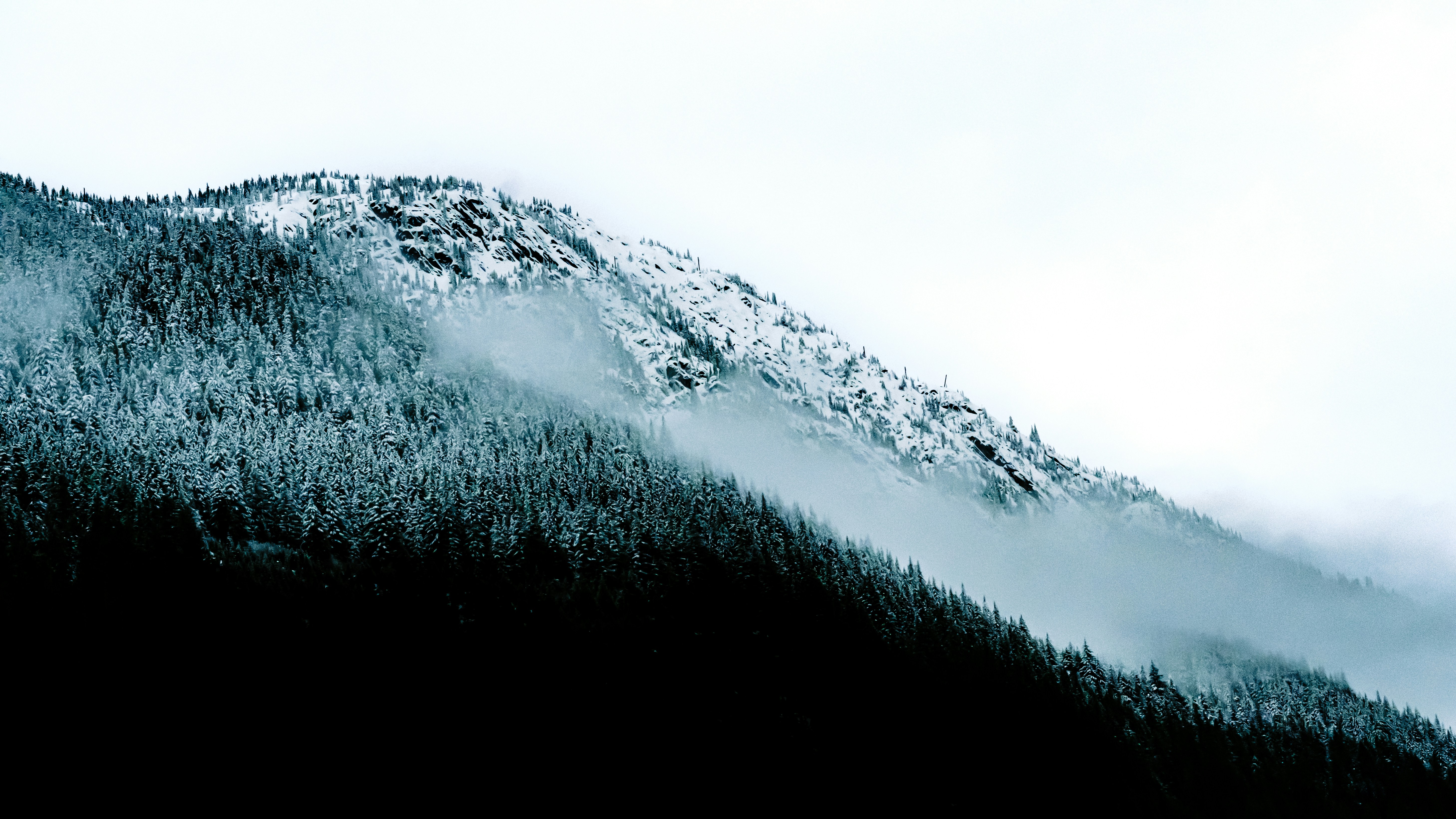 Photo by ardalanhamedani