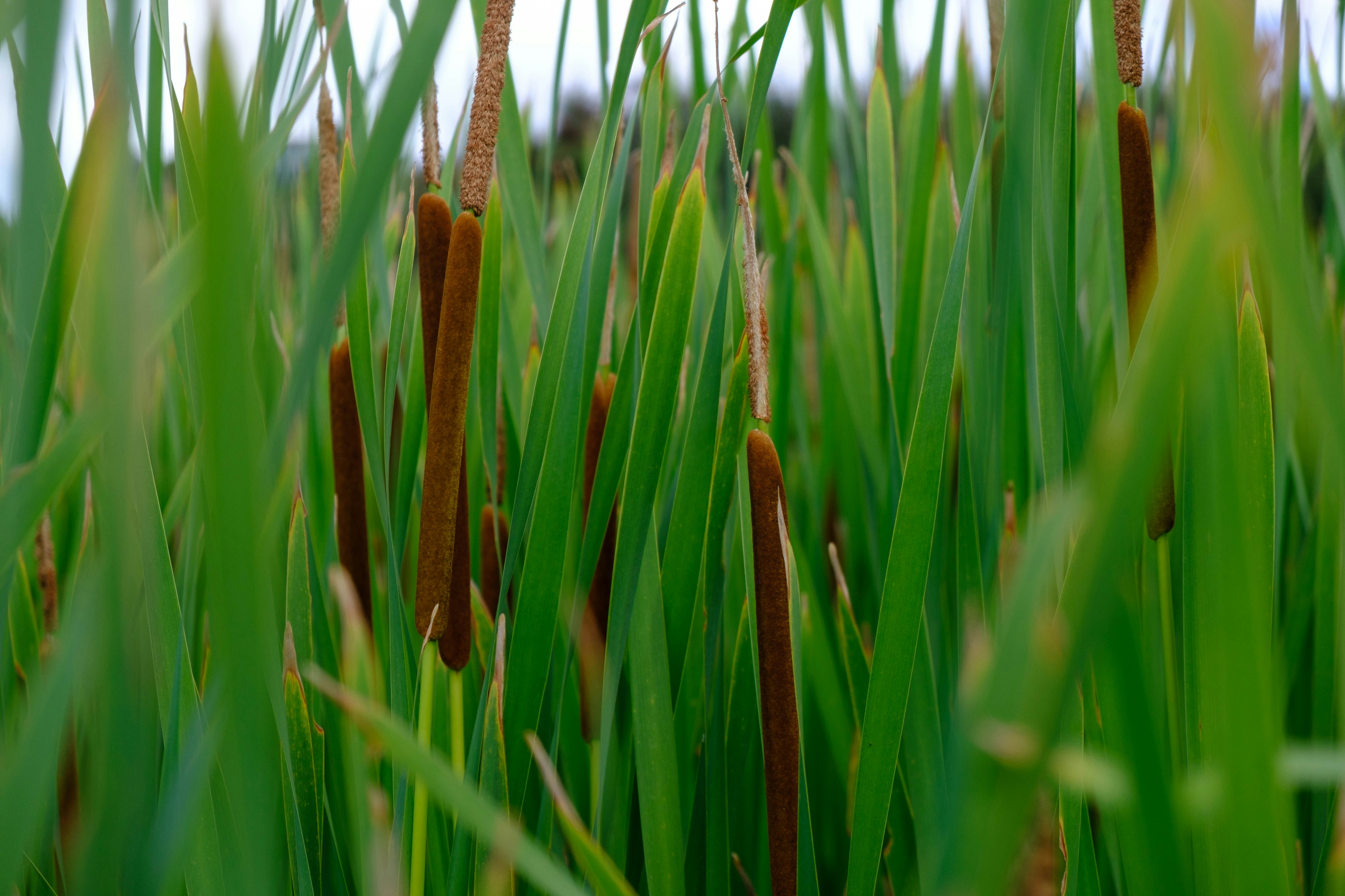 Photo by sammienguyen