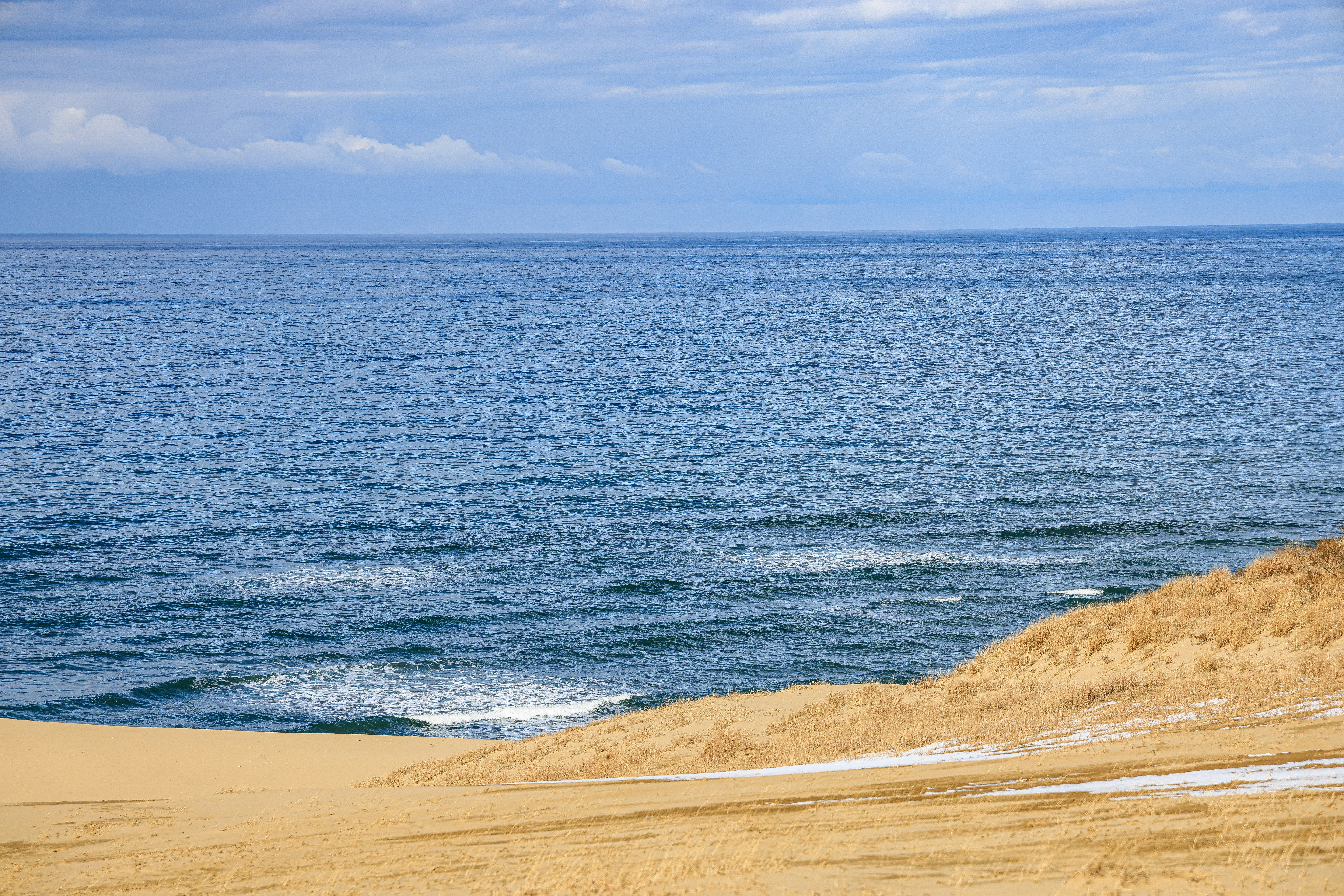 Photo by maximilian_brand