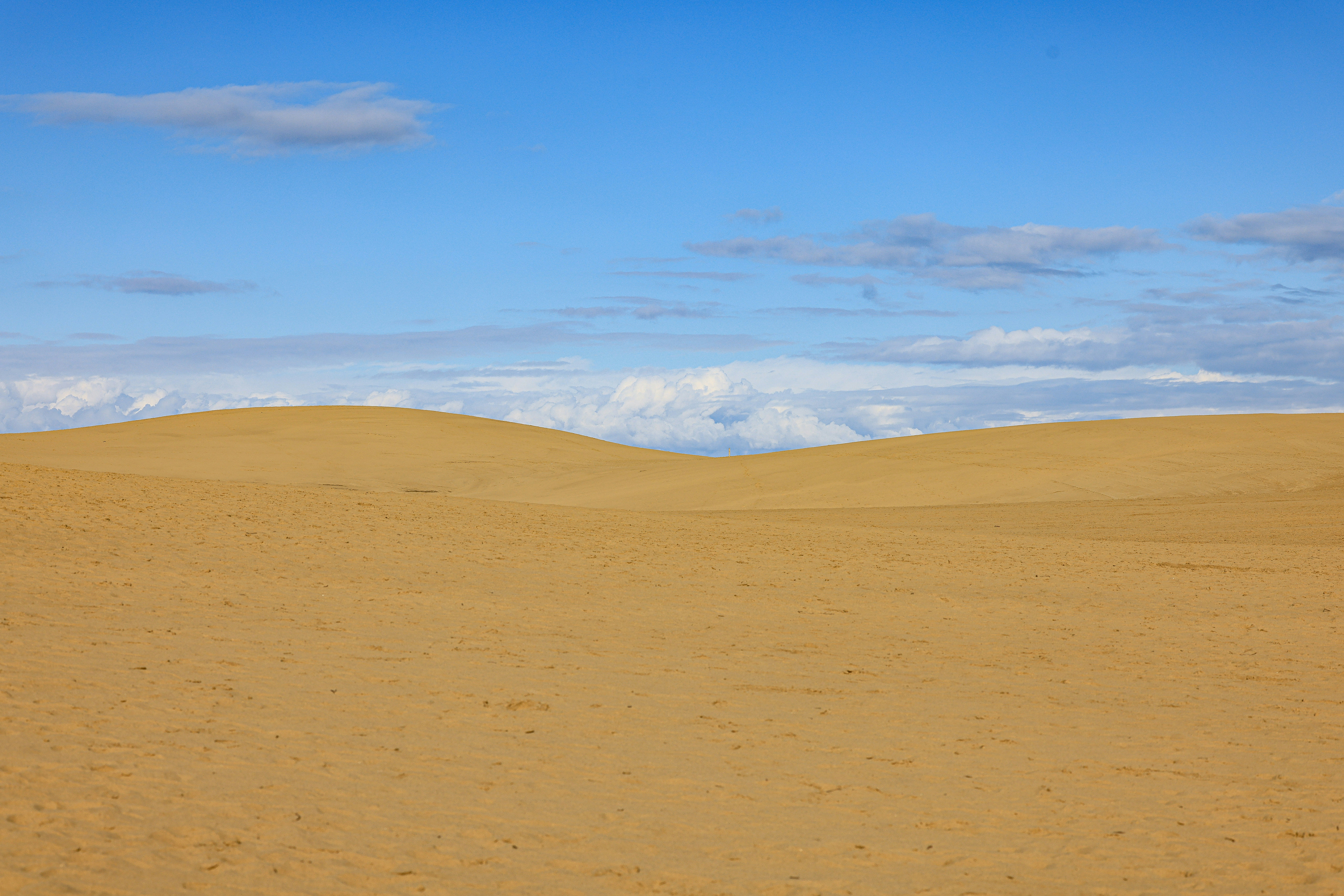 Photo by maximilian_brand