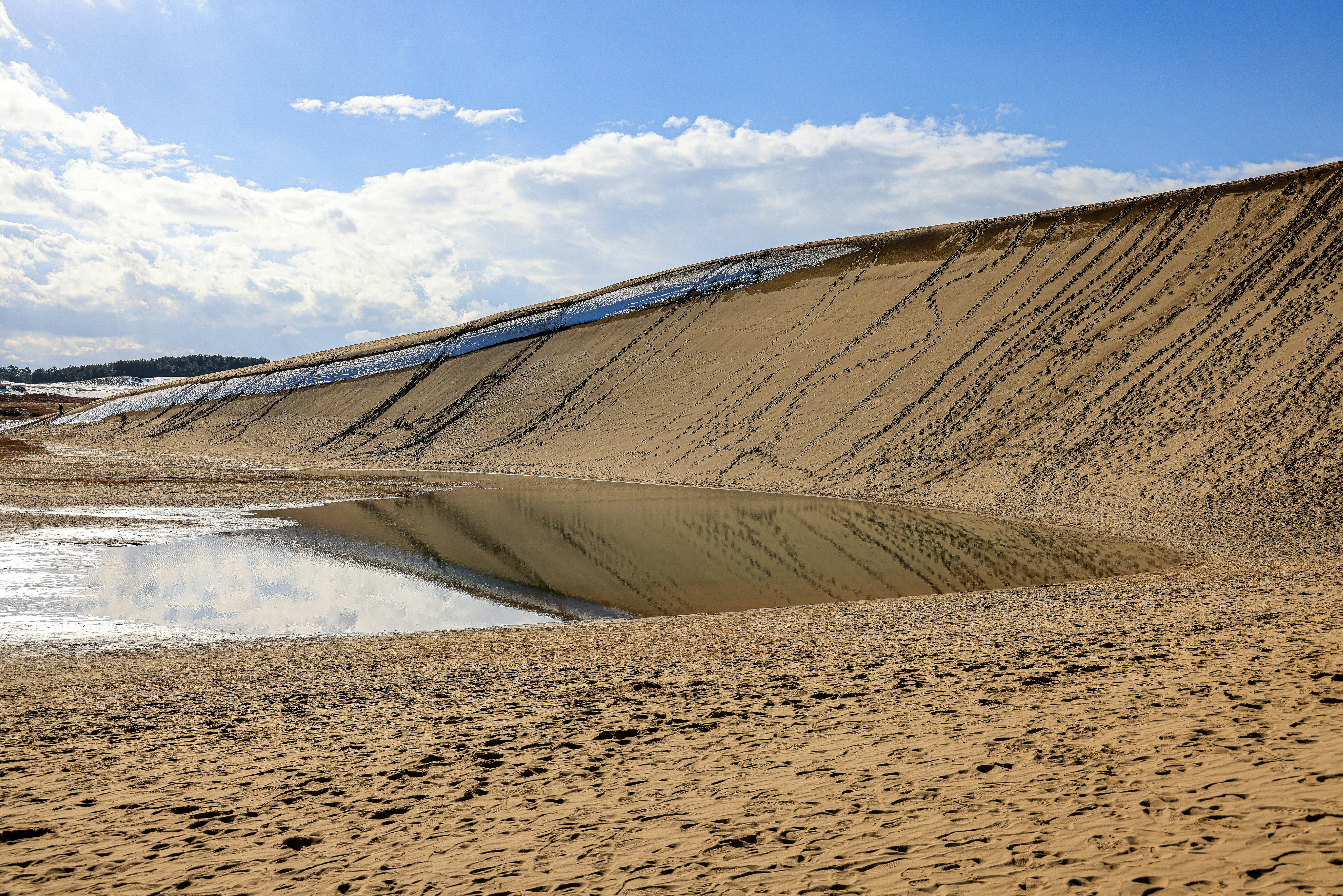 Photo by maximilian_brand