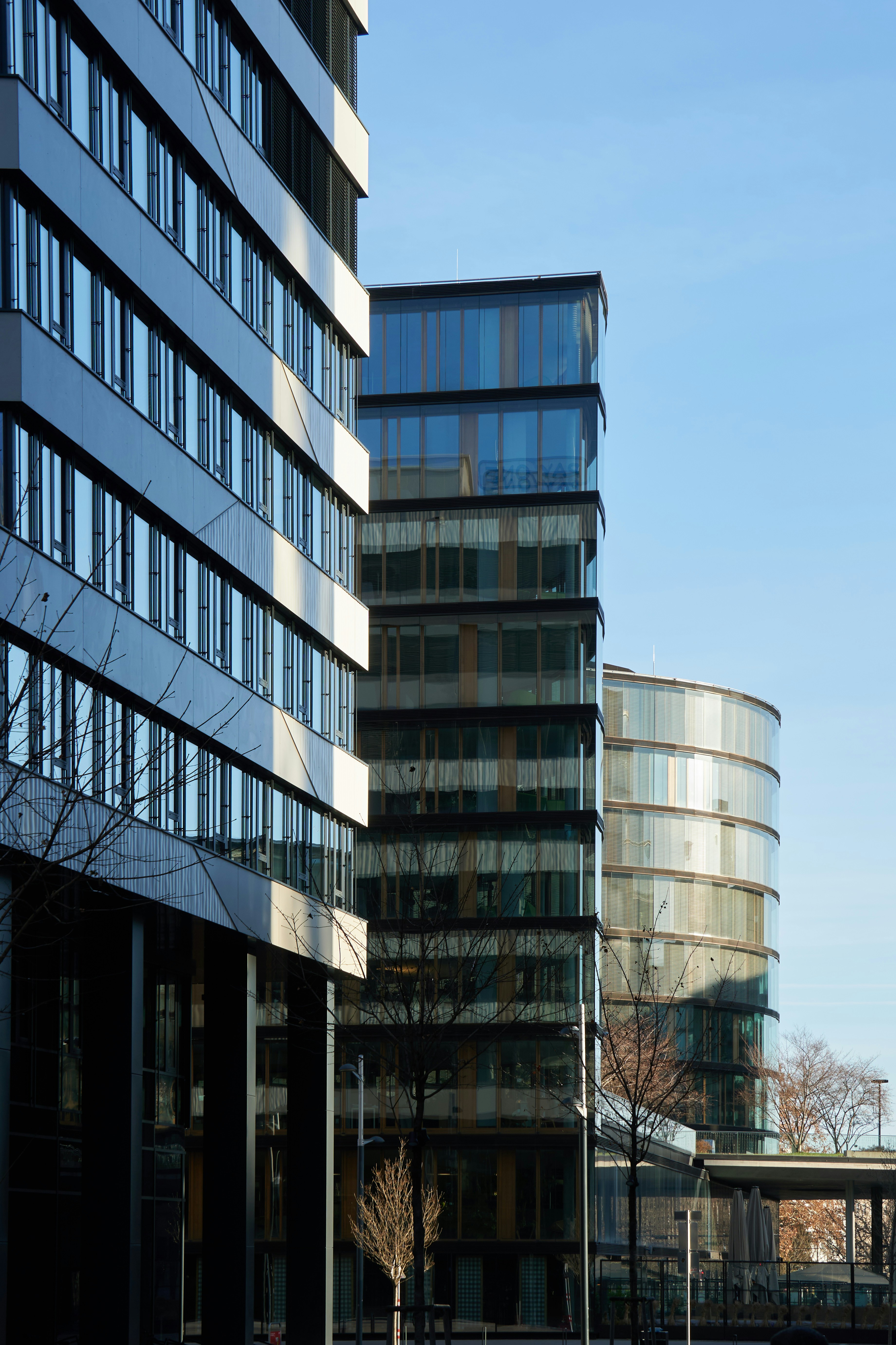 Photo by oksana_pylypenko