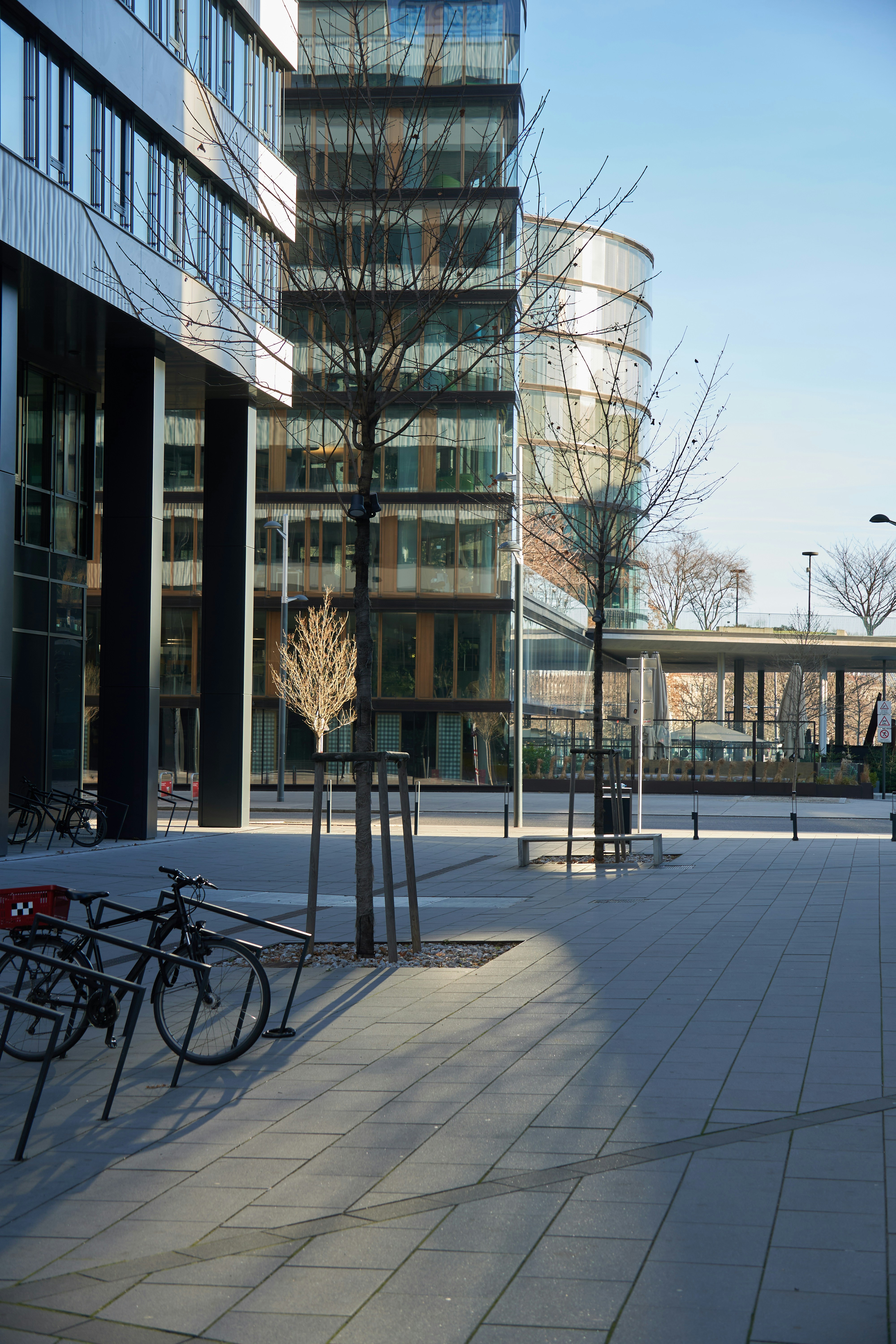 Photo by oksana_pylypenko