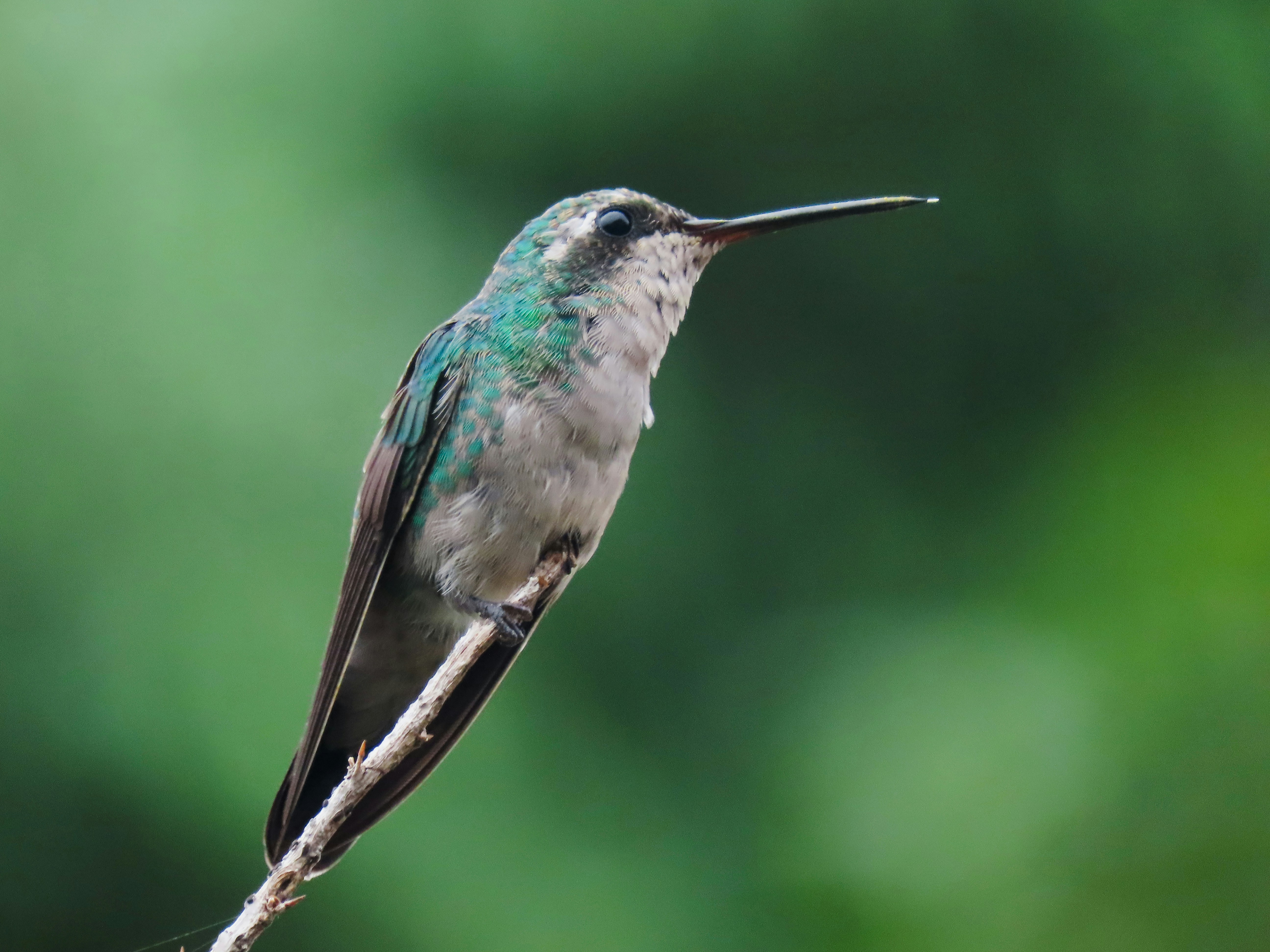 Photo by patricianicoloso