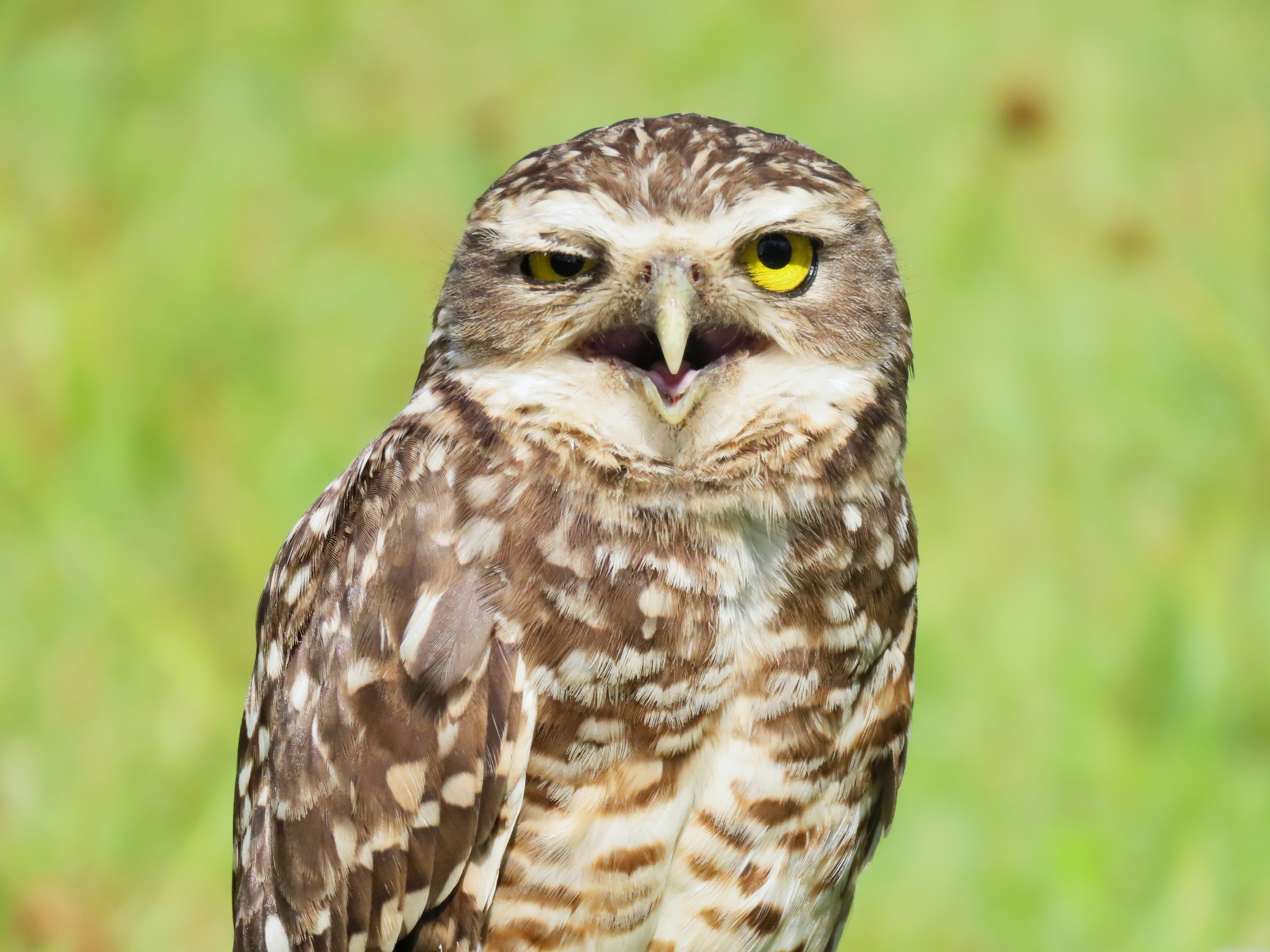 Photo by patricianicoloso