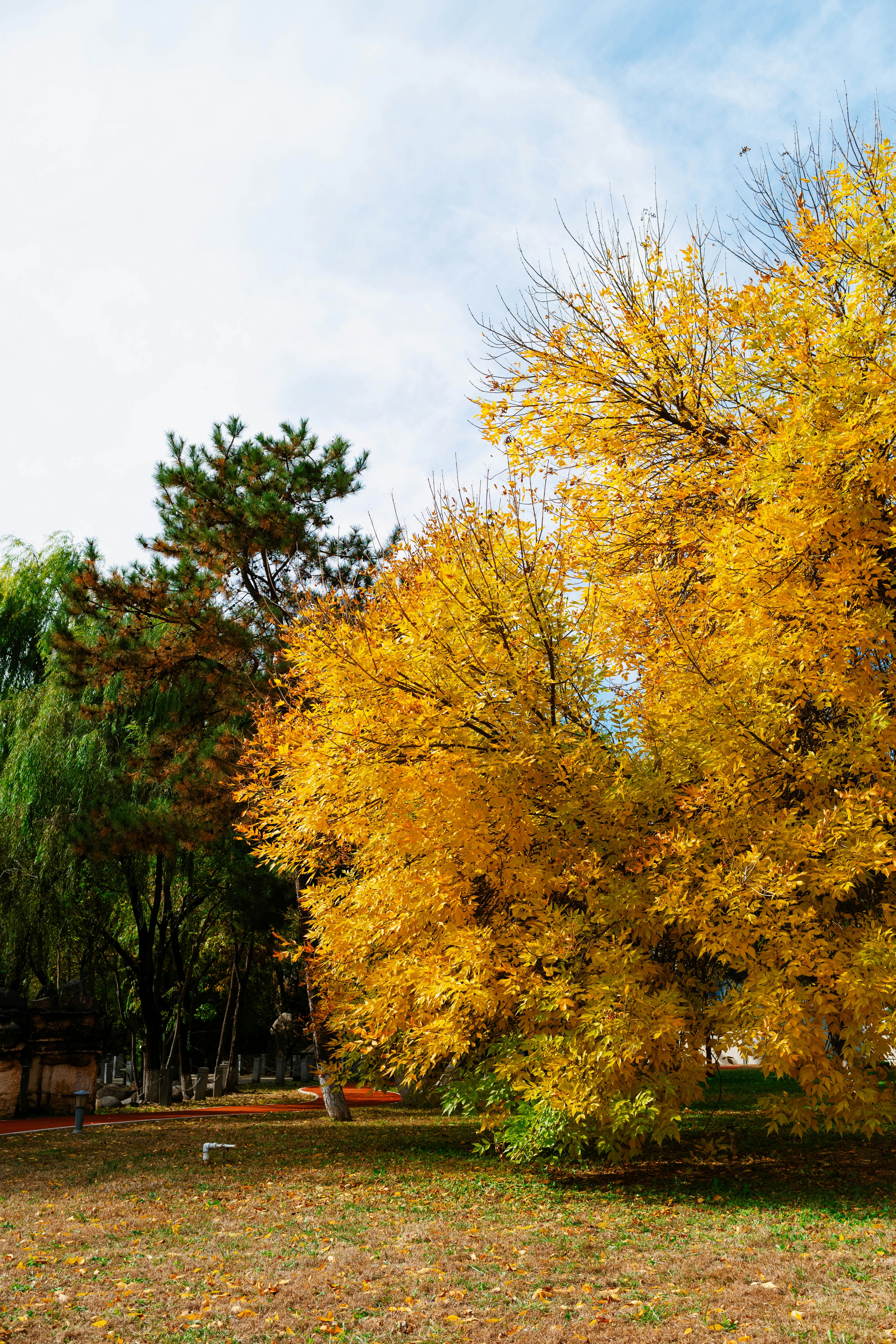 Photo by tommaomaoer