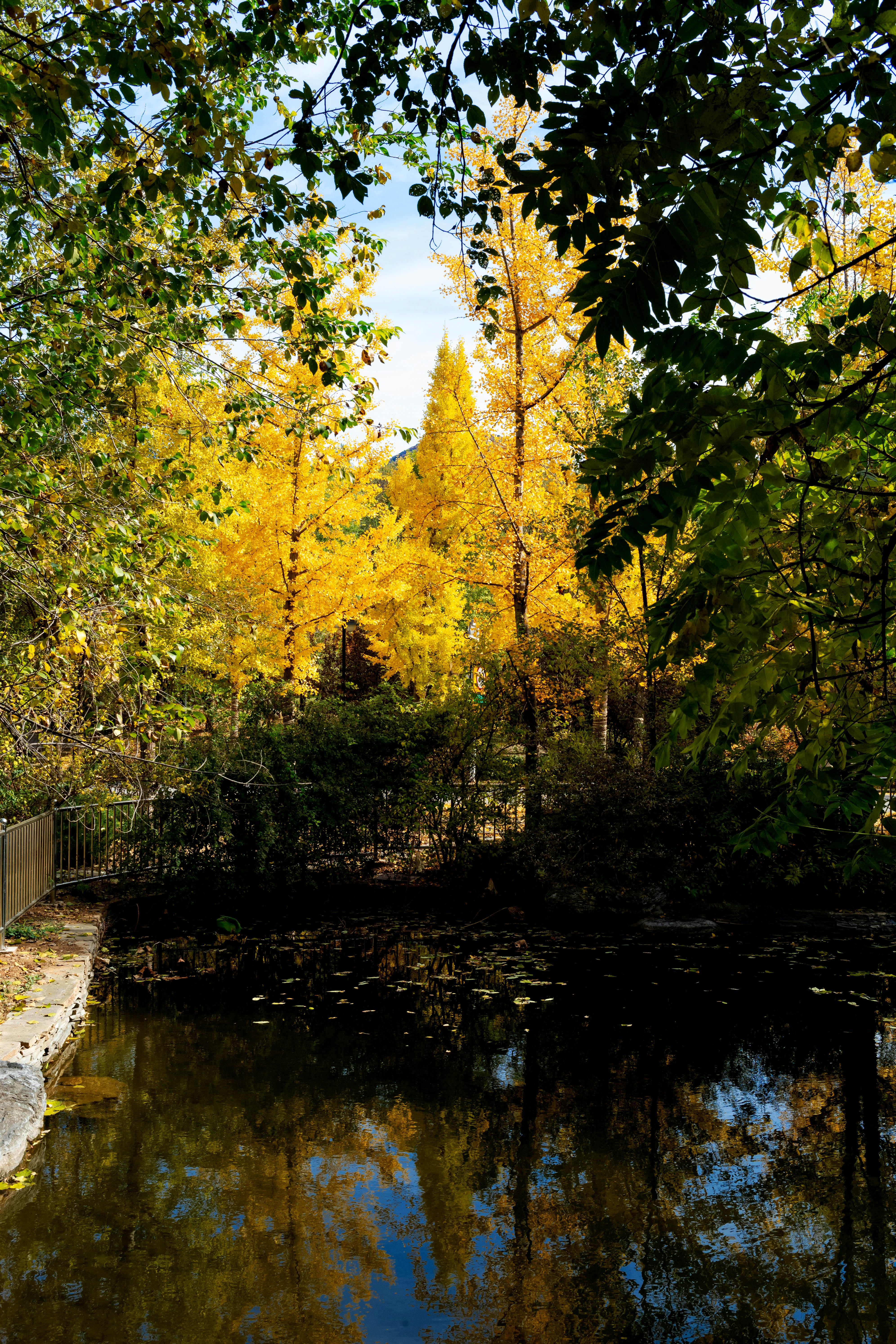 Photo by tommaomaoer