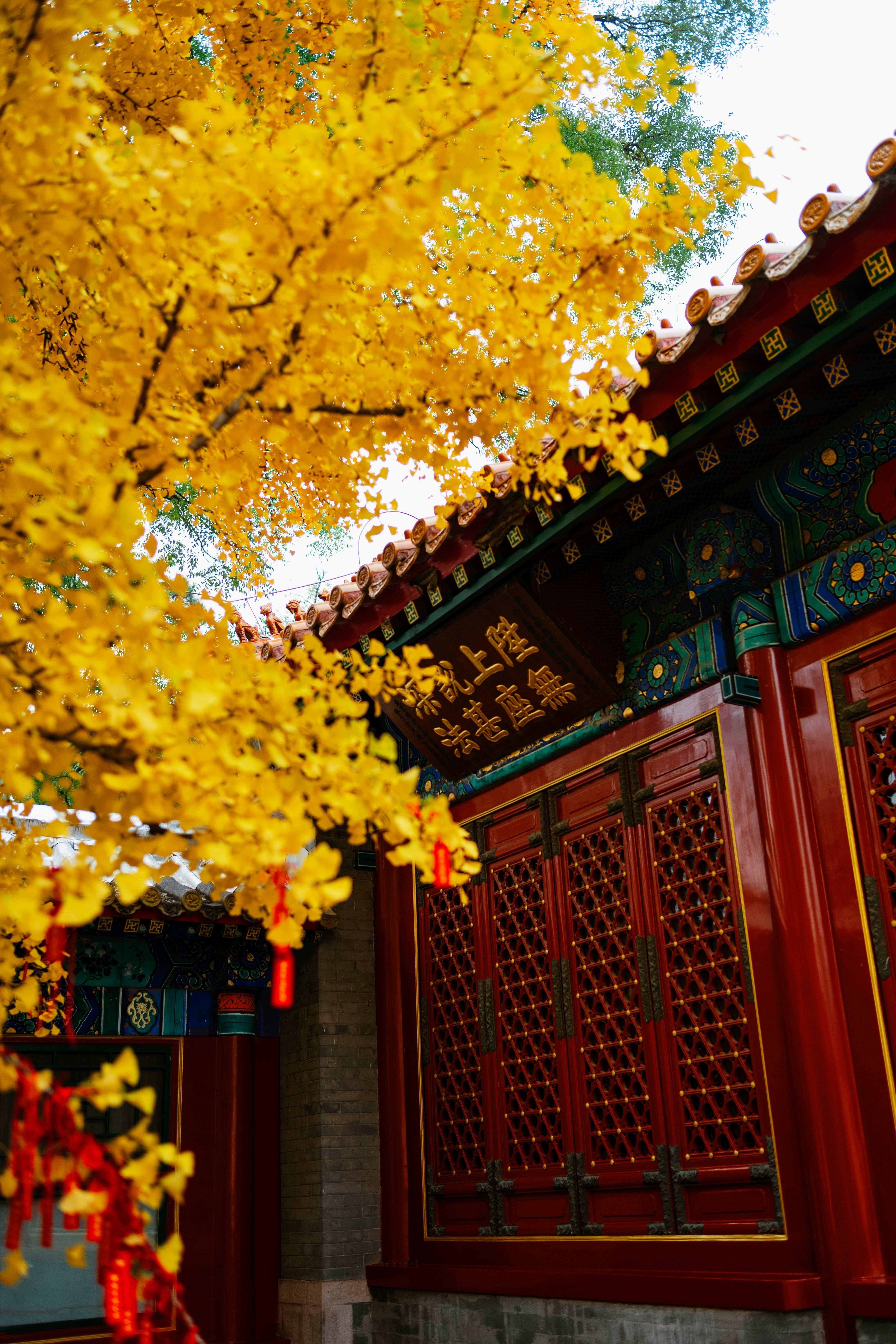 Photo by tommaomaoer